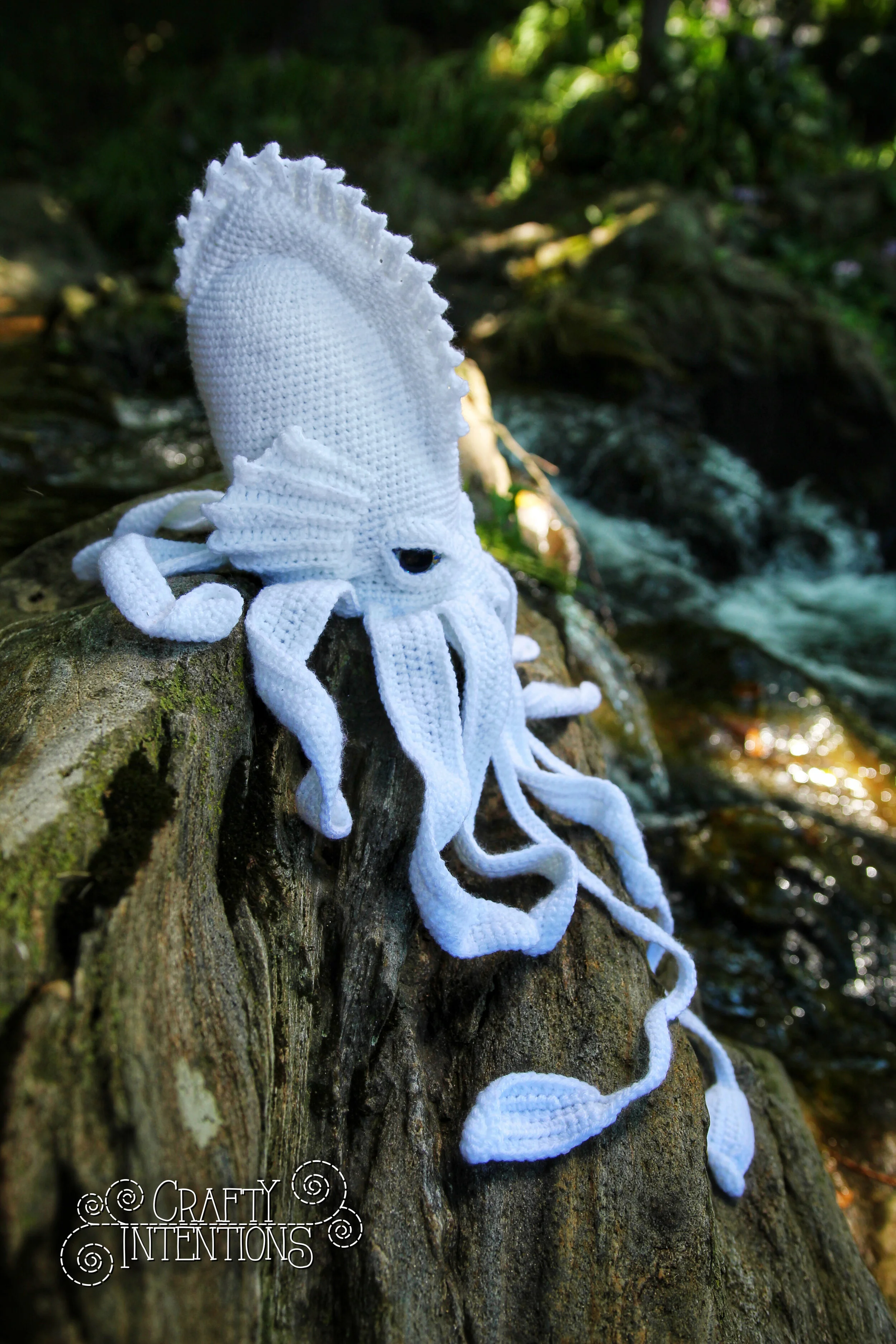 IMG_7659-01 with Logo.jpg