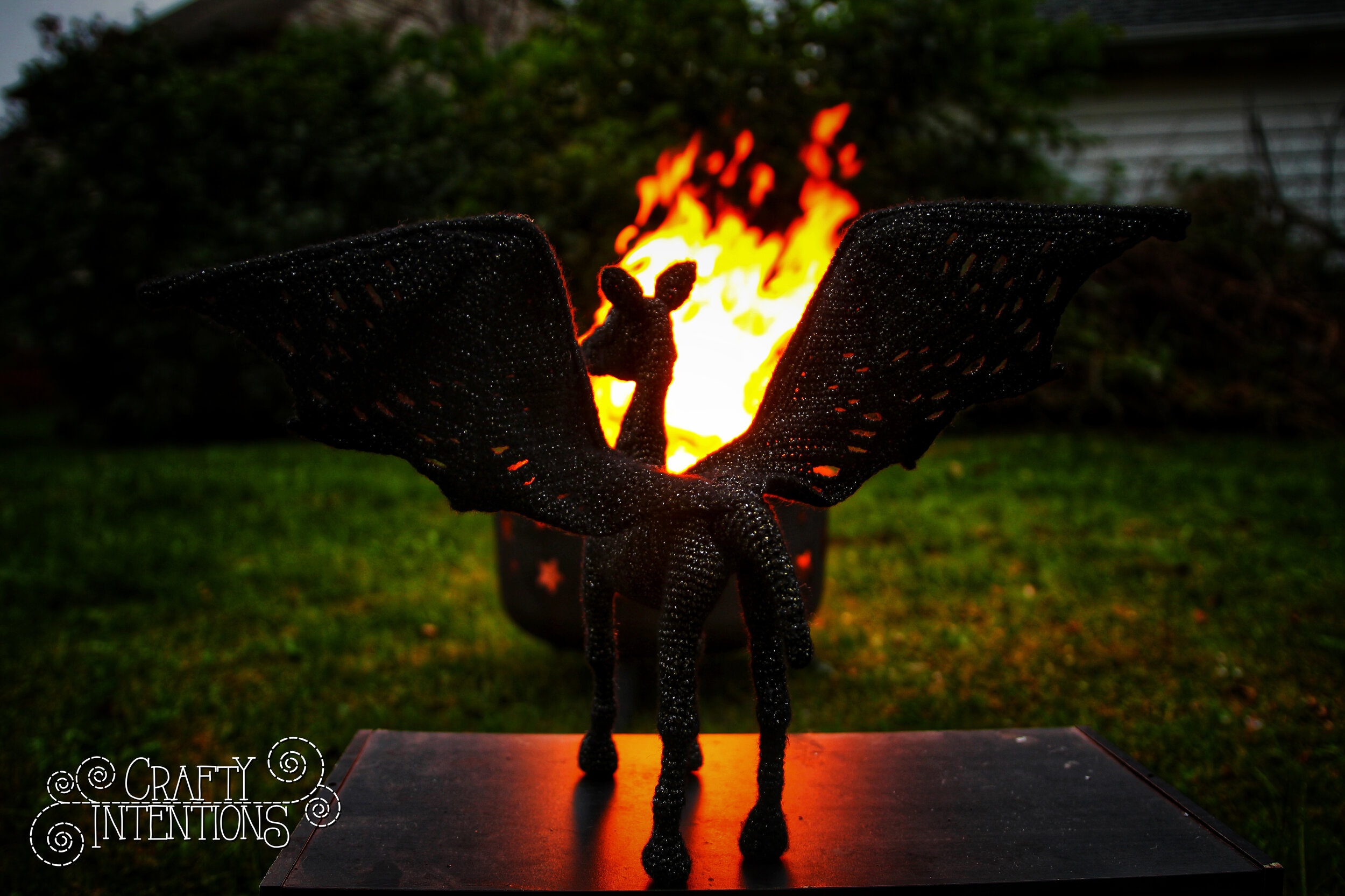 IMG_5284-01 with Logo.jpg