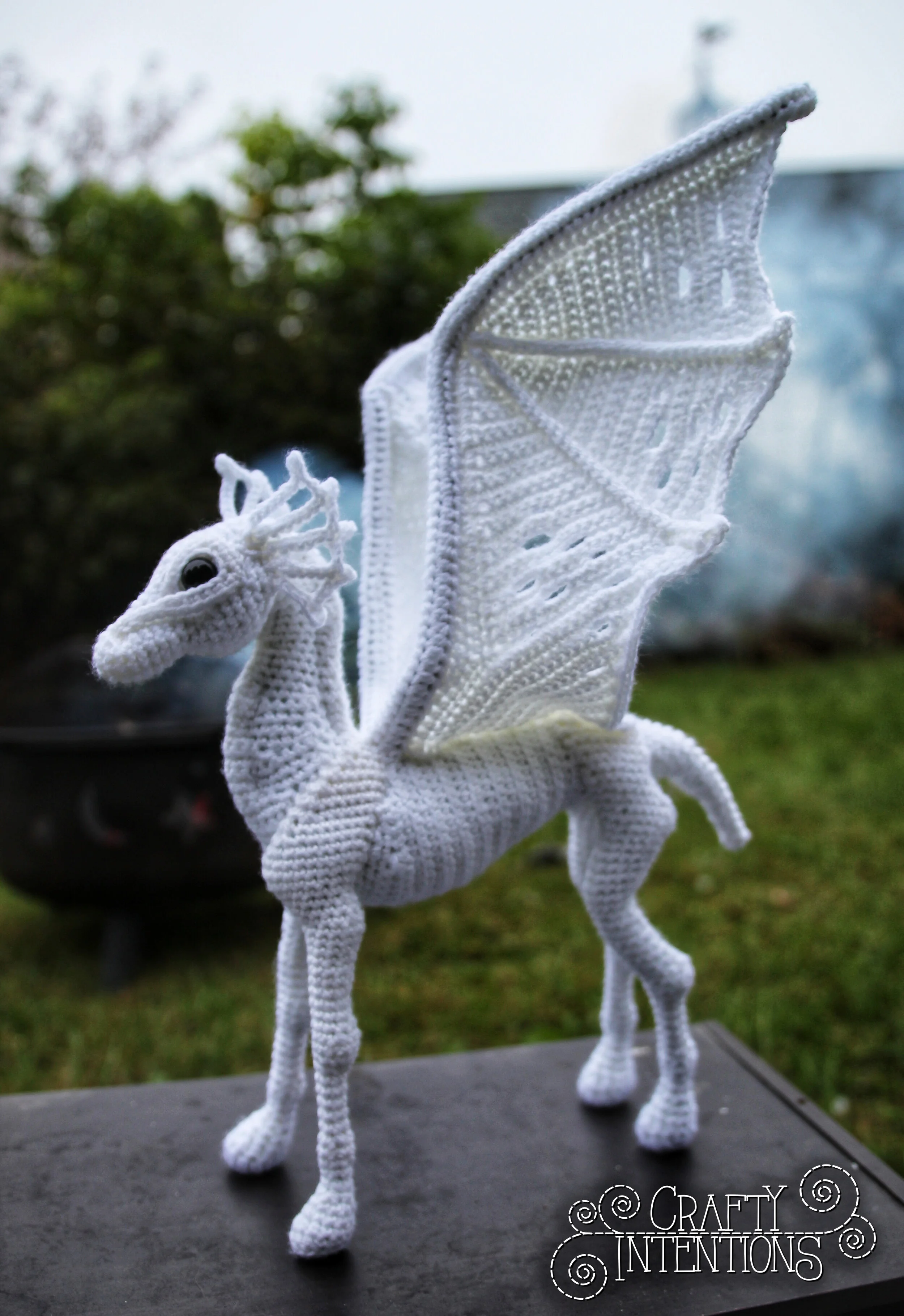 IMG_5468-01 with Logo.jpg