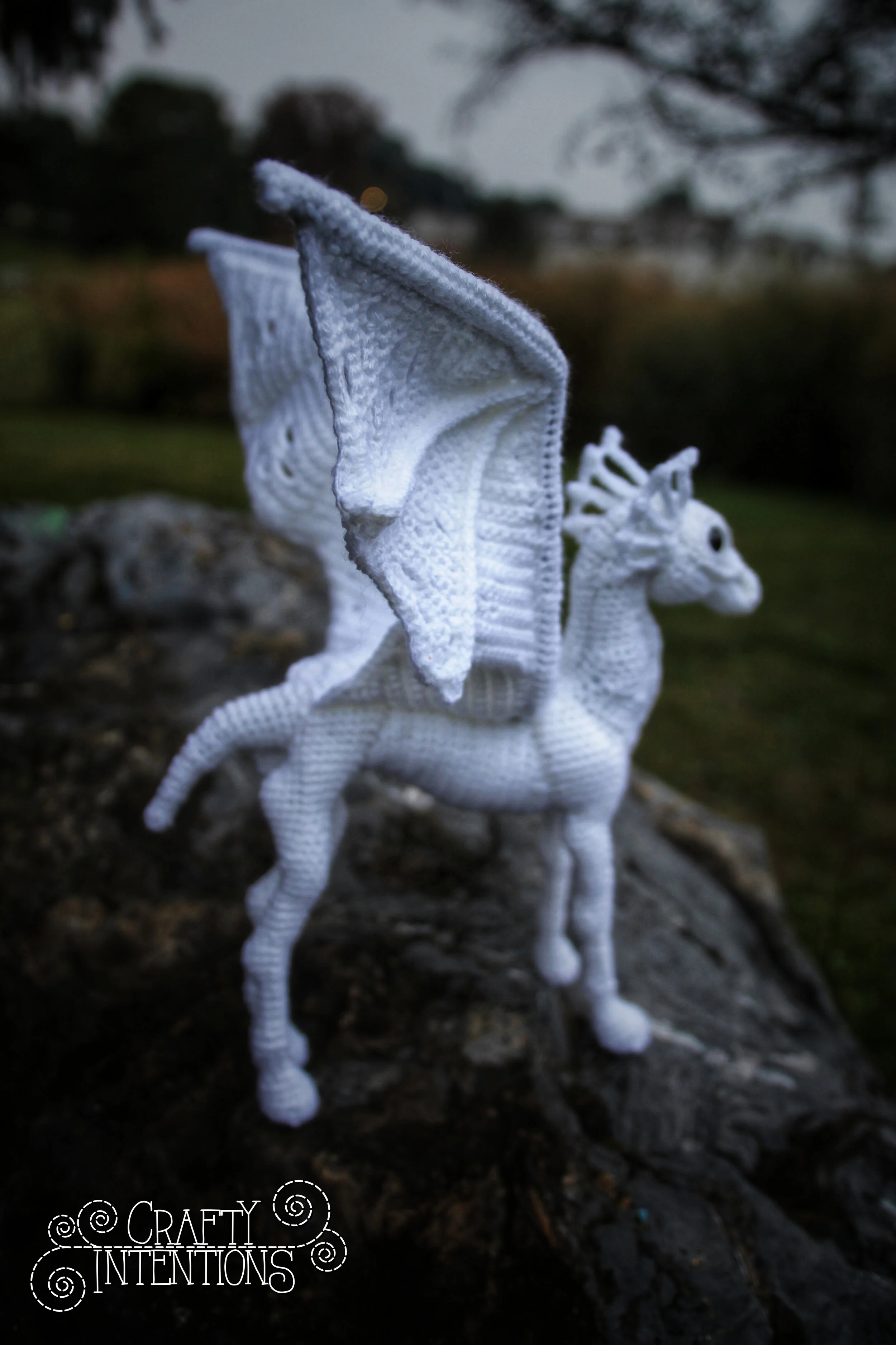 IMG_5502-01 with Logo.jpg