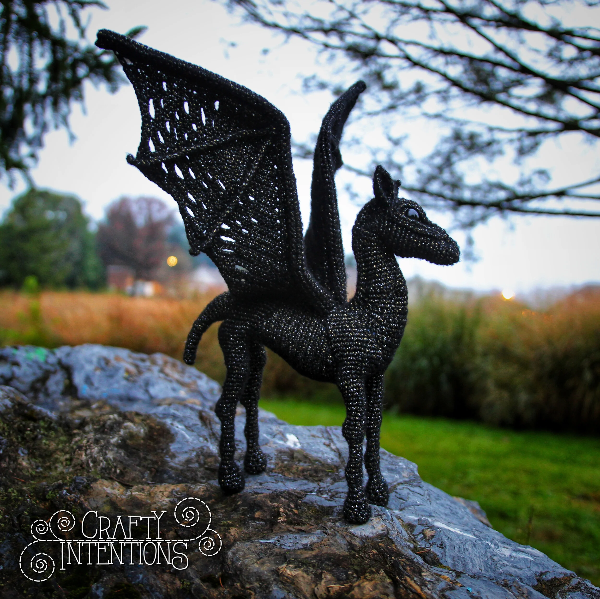 IMG_5625-1-01 with Logo.jpg