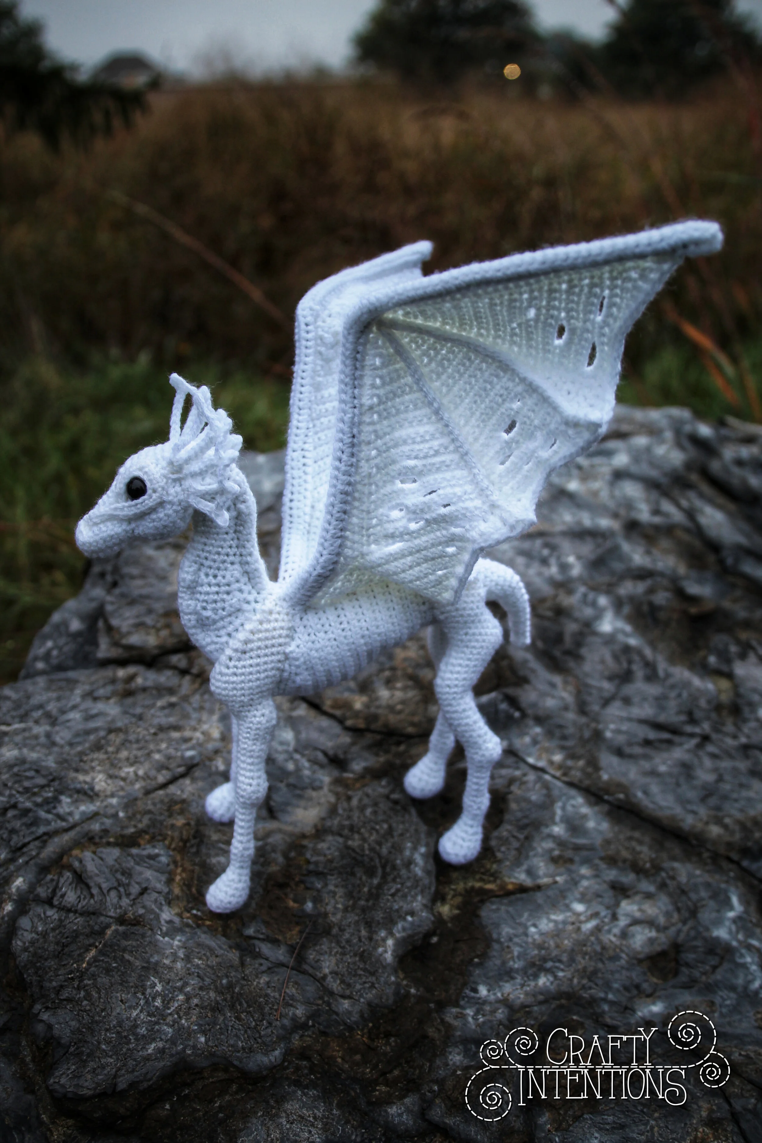 IMG_5633-01 with Logo.jpg