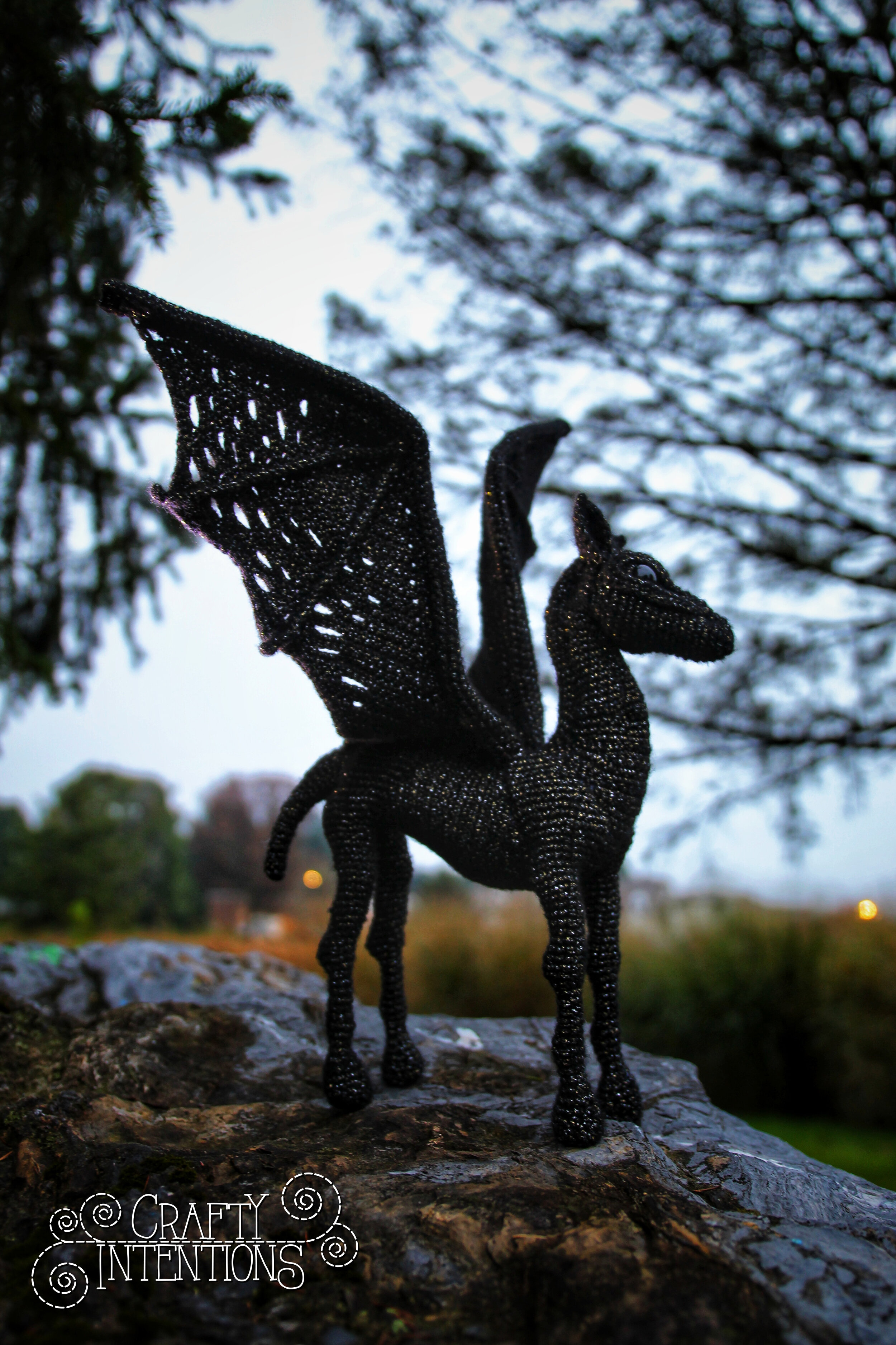 IMG_5602-01 with Logo.jpg