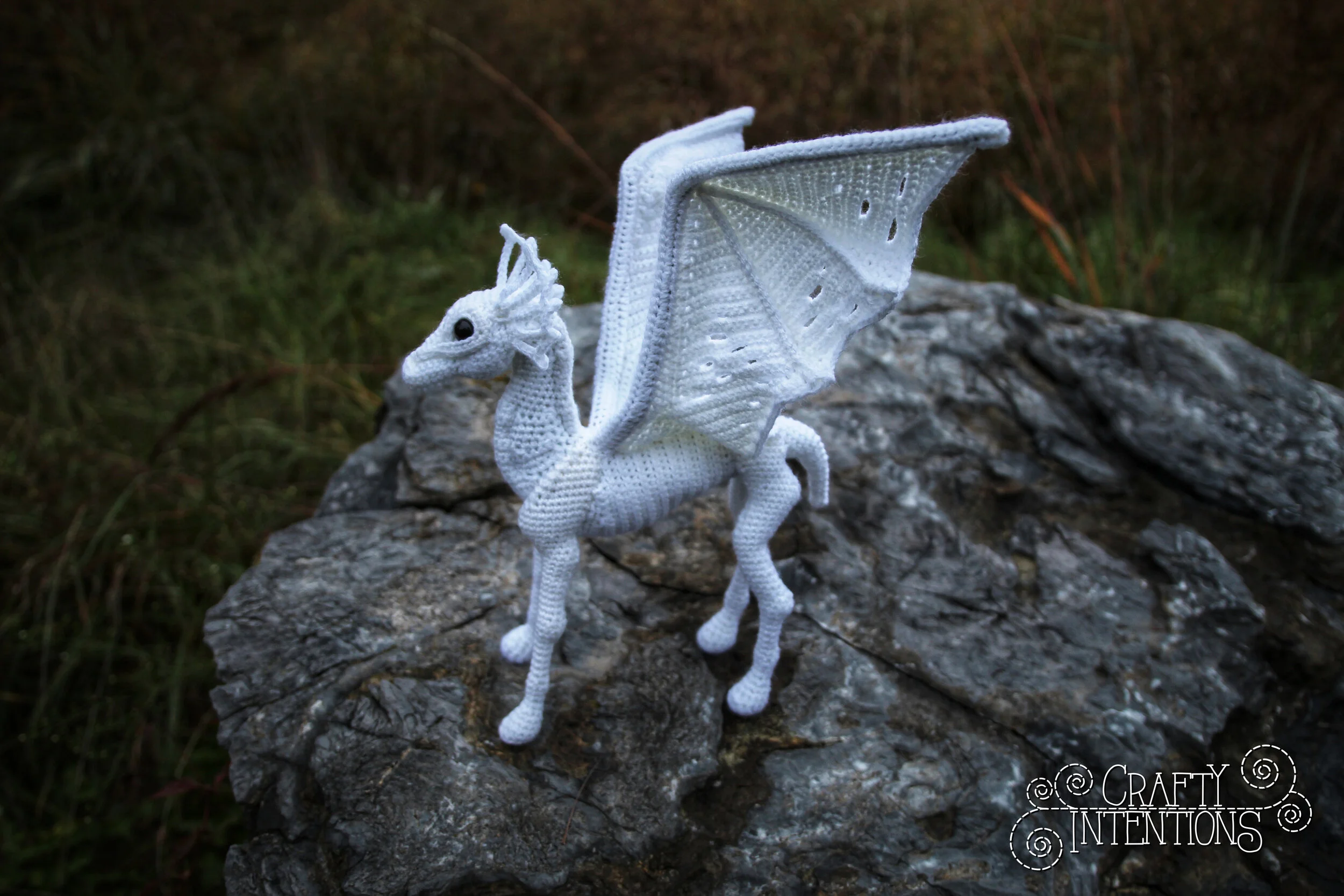 IMG_5647-01 with Logo.jpg