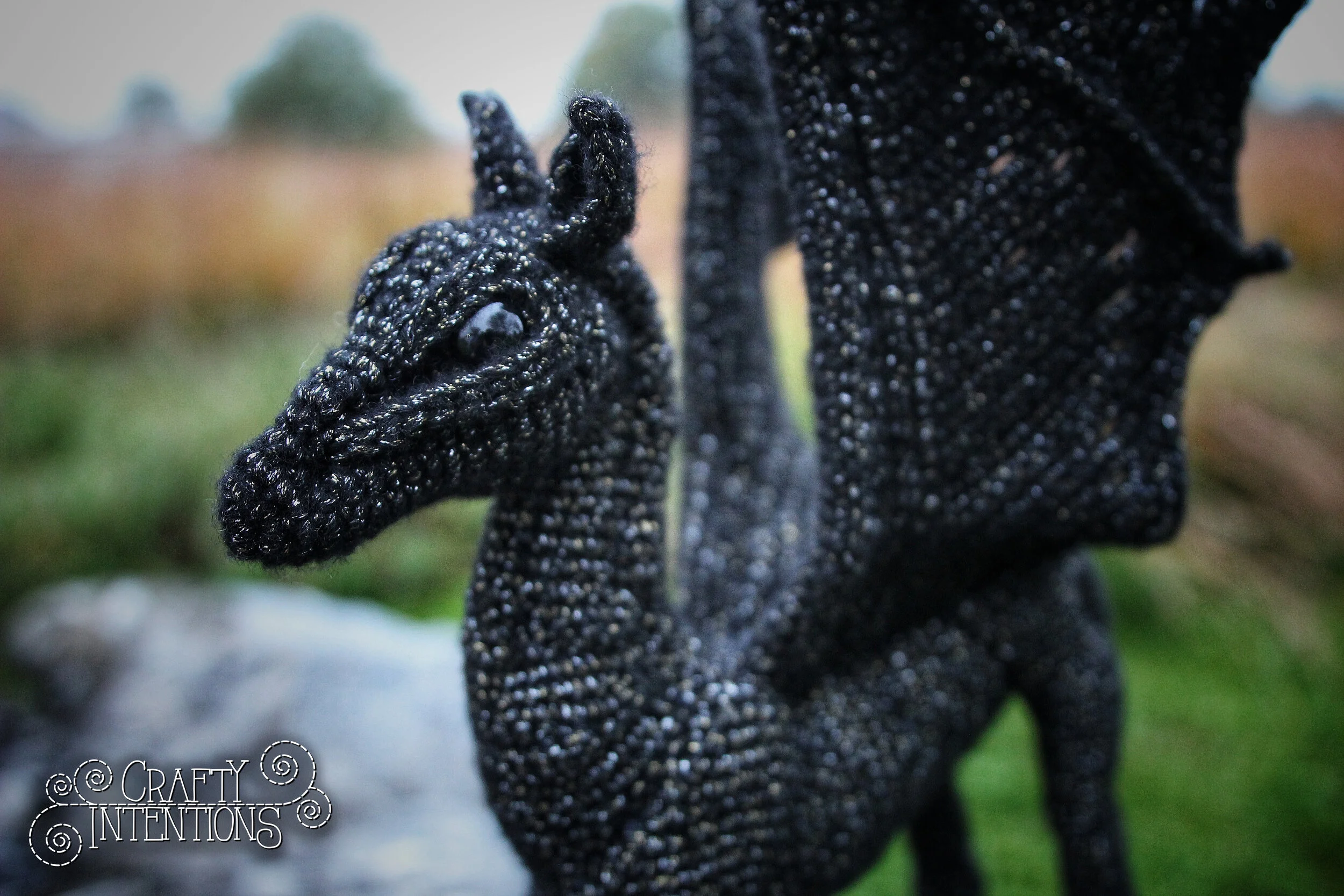 IMG_5739-01 with Logo.jpg