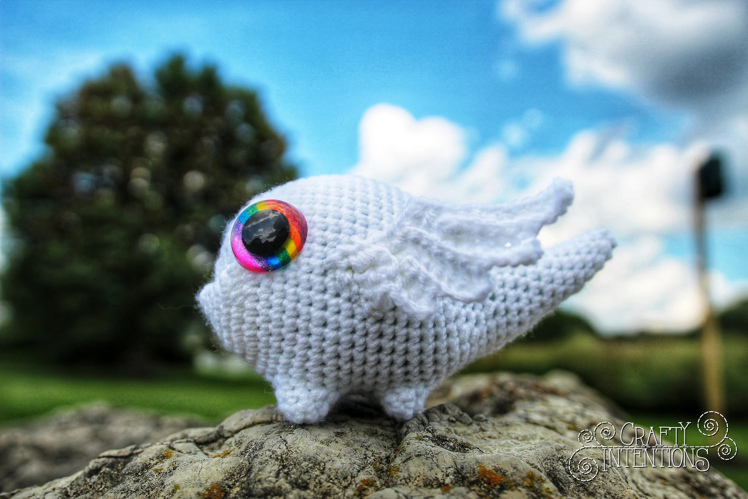 IMG_2530-1-01 with Logo.jpg