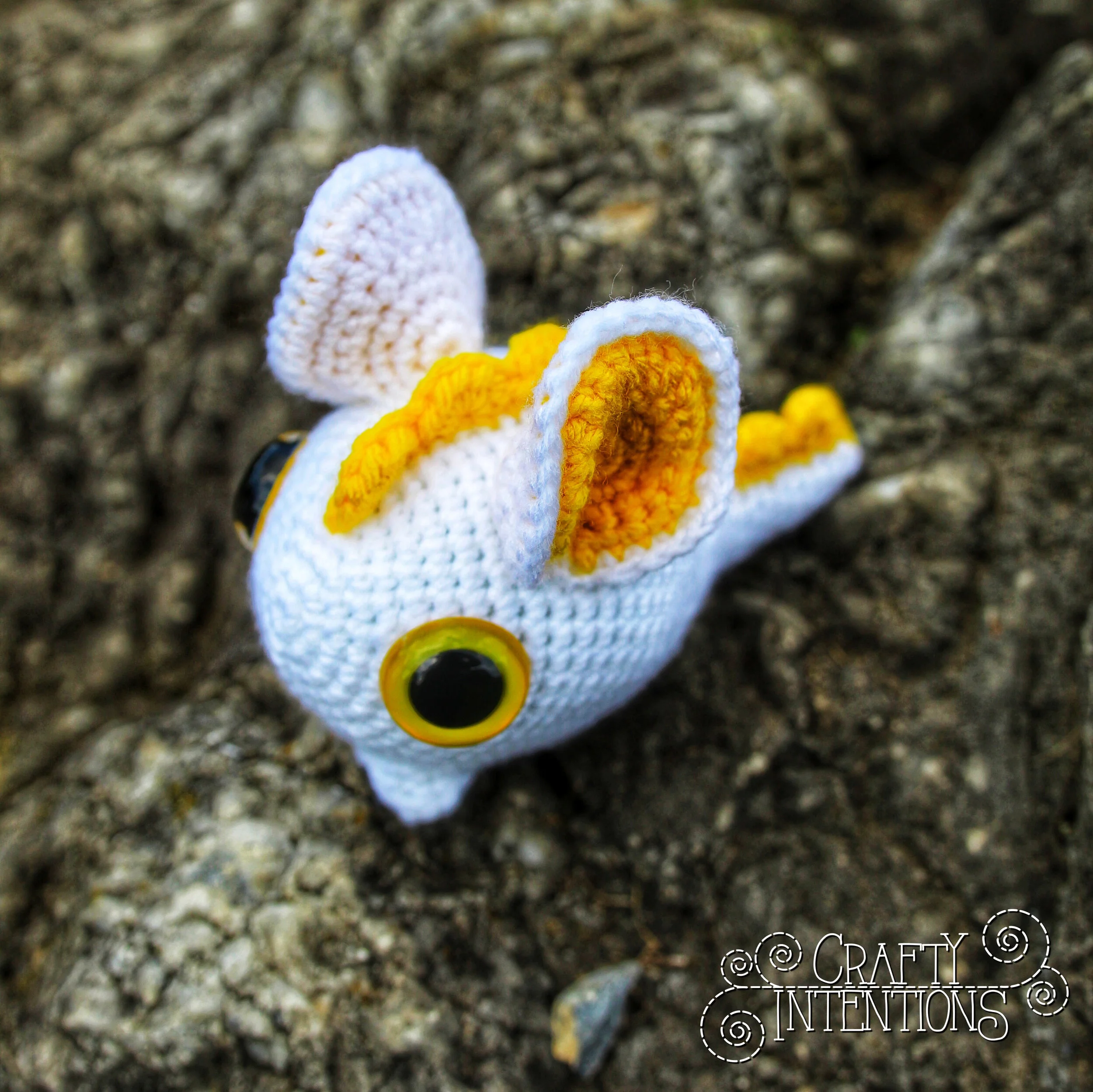 IMG_2571-01 with Logo.jpg