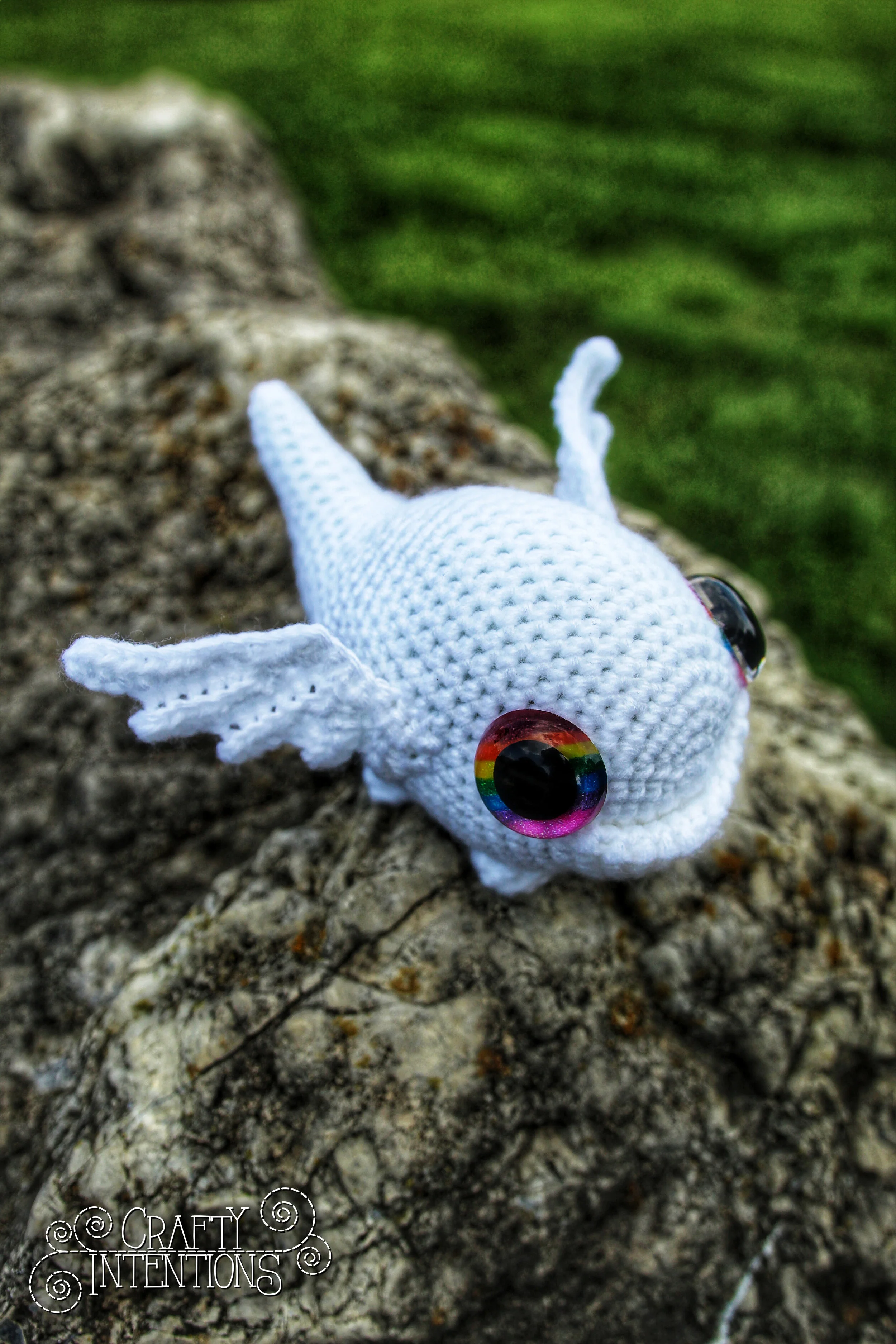 IMG_2561-01 with Logo.jpg