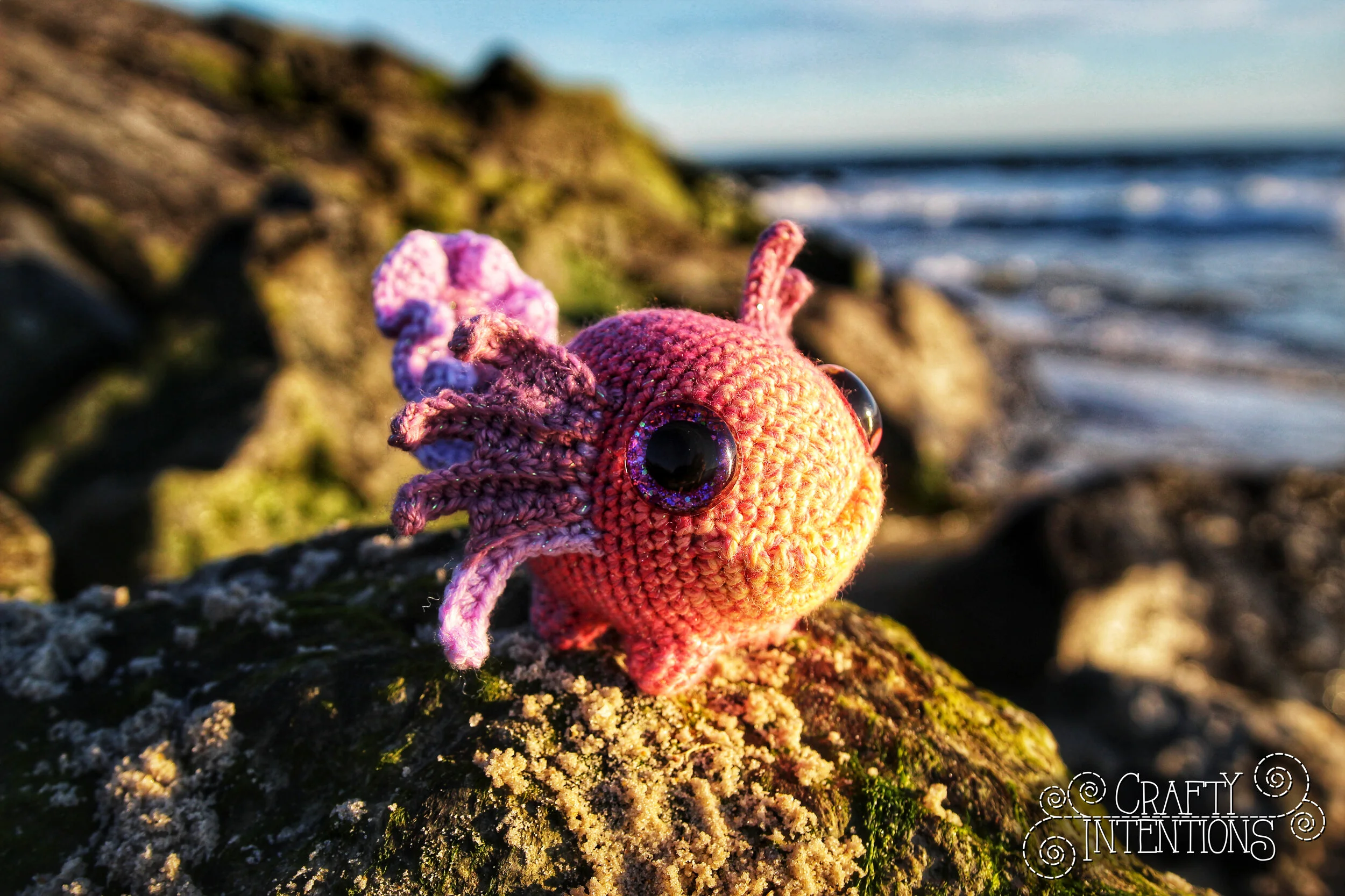 IMG_4447-01 with Logo.jpg