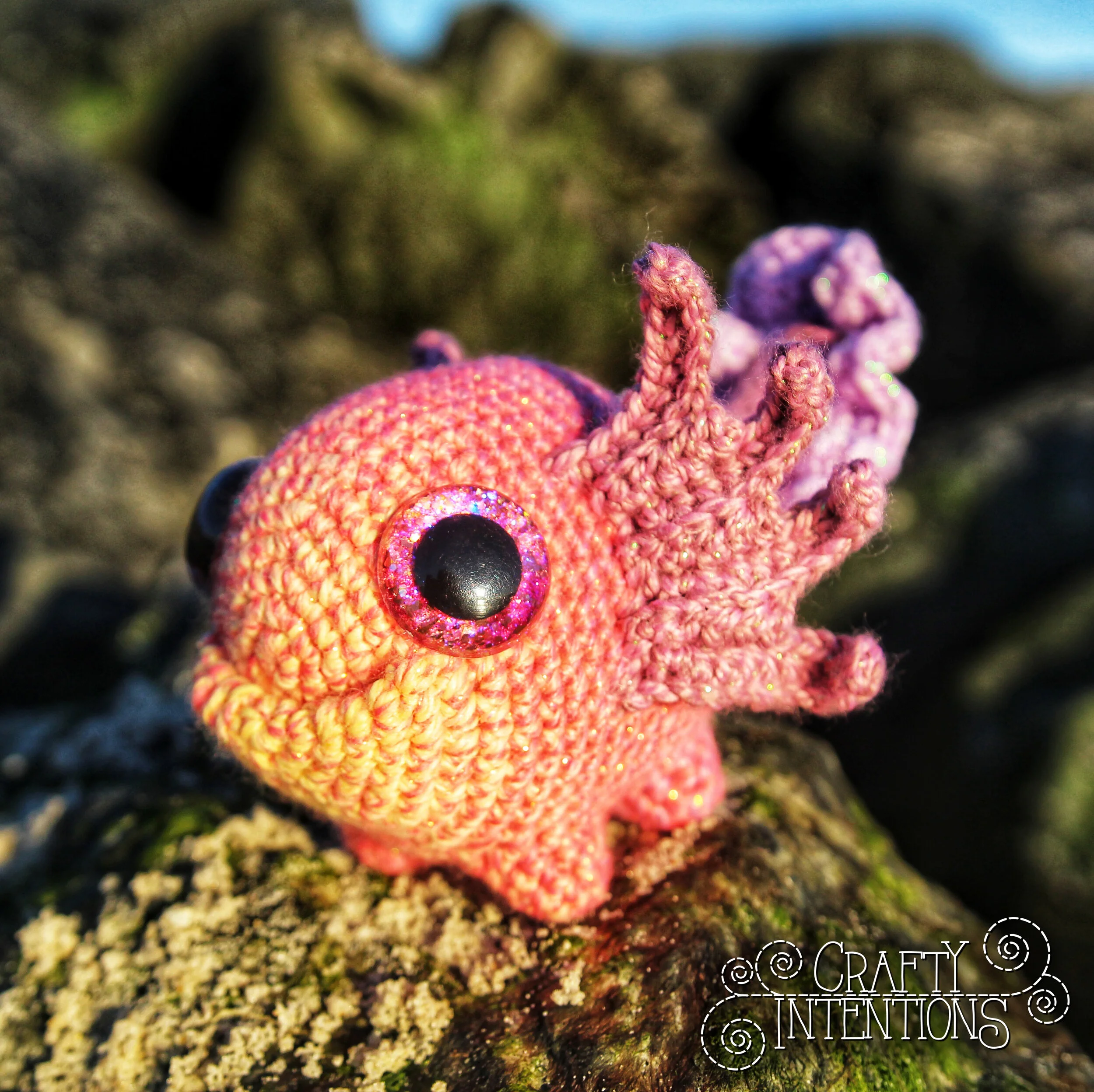 IMG_4452-01 with Logo.jpg