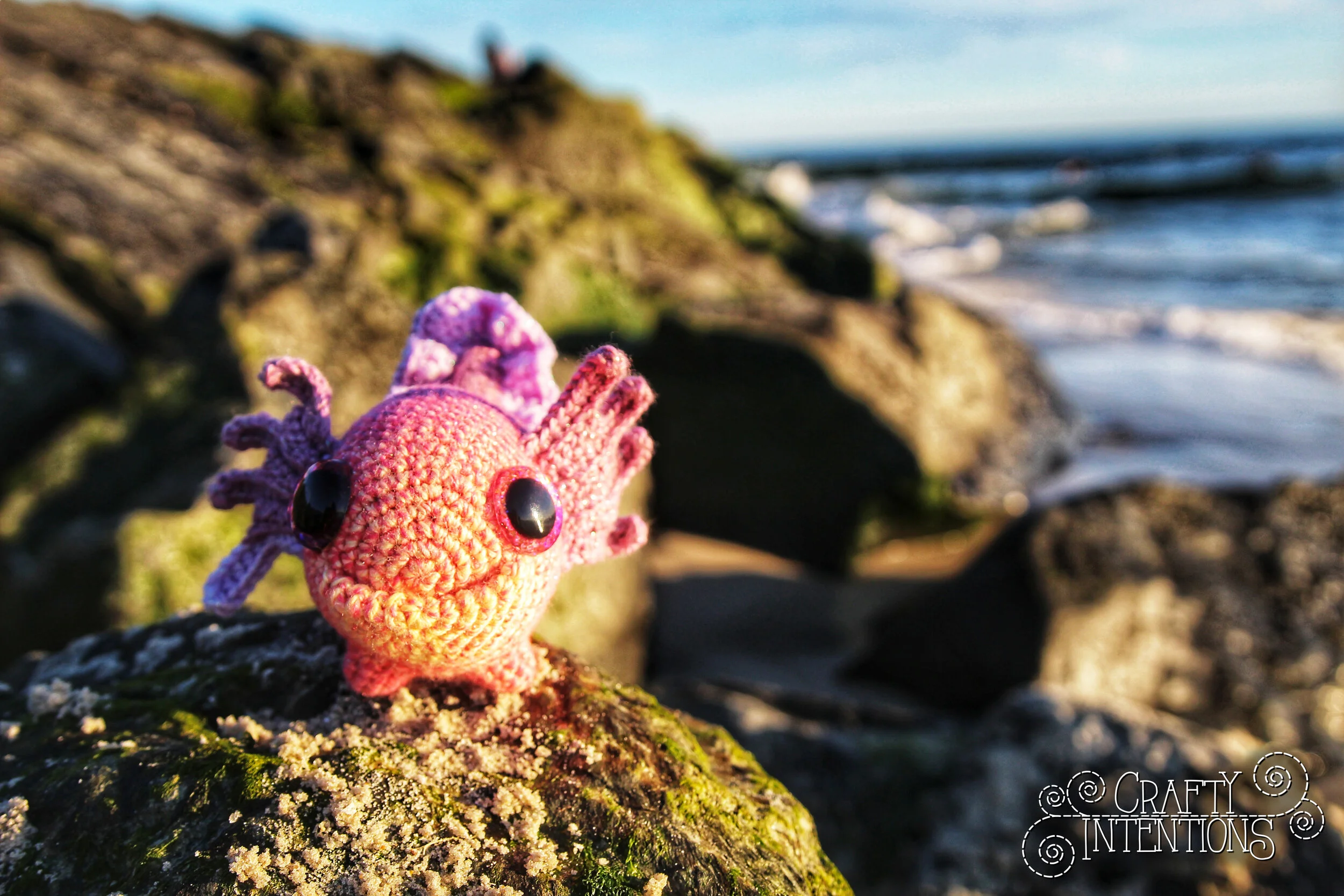 IMG_4437-01 with Logo.jpg