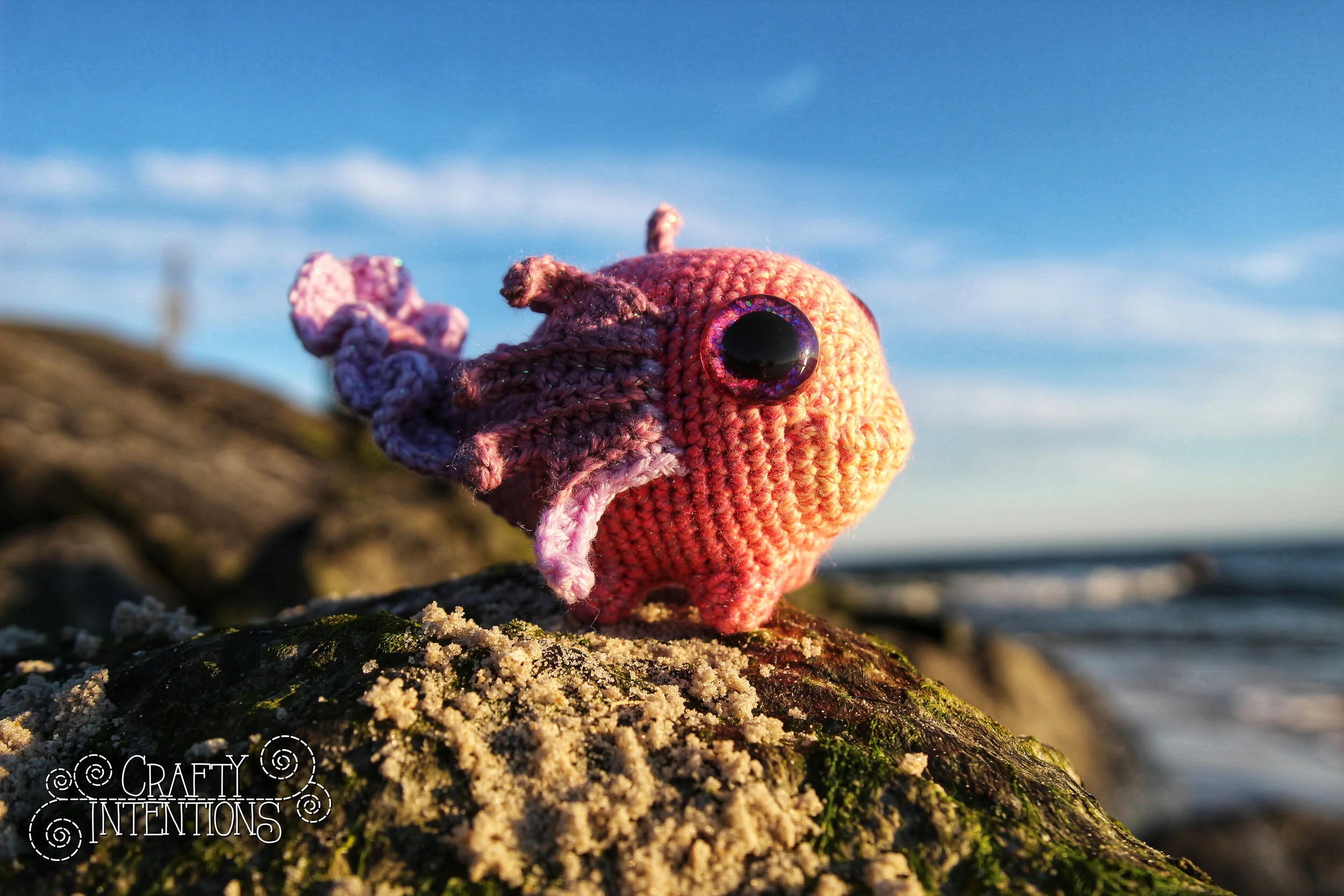 IMG_4466-01 with Logo.jpg