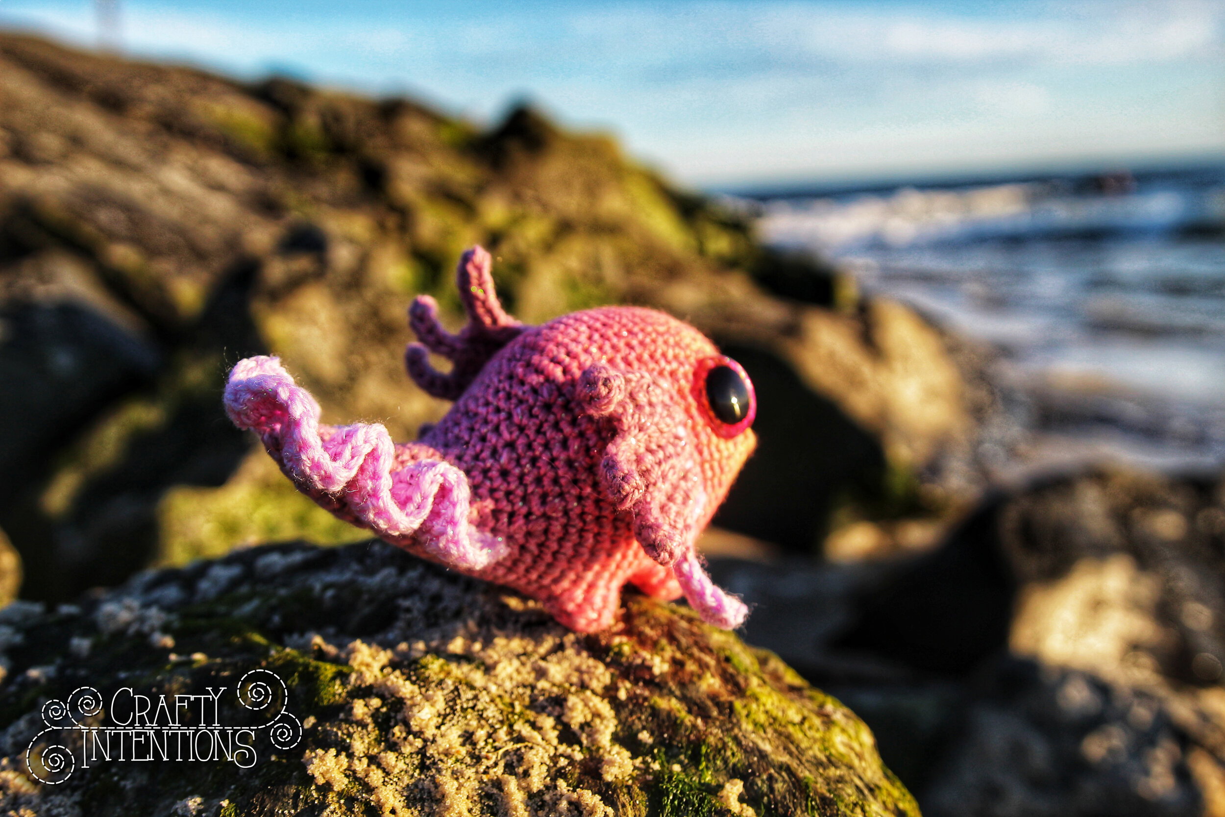 IMG_4455-01 with Logo.jpg