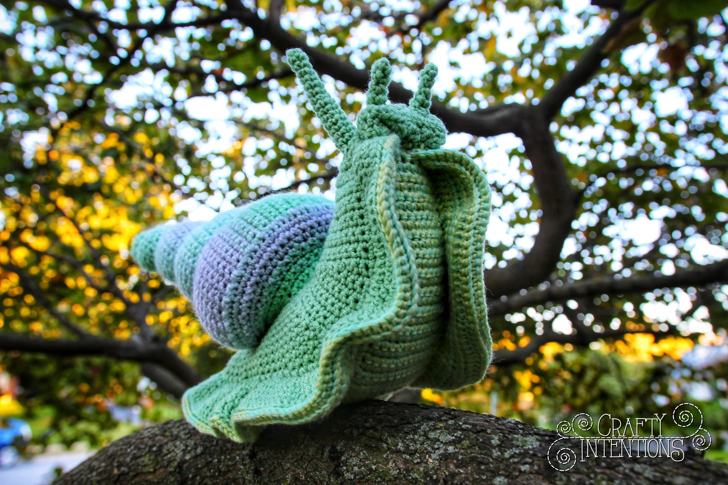 IMG_4935-1-01 with Logo.jpg