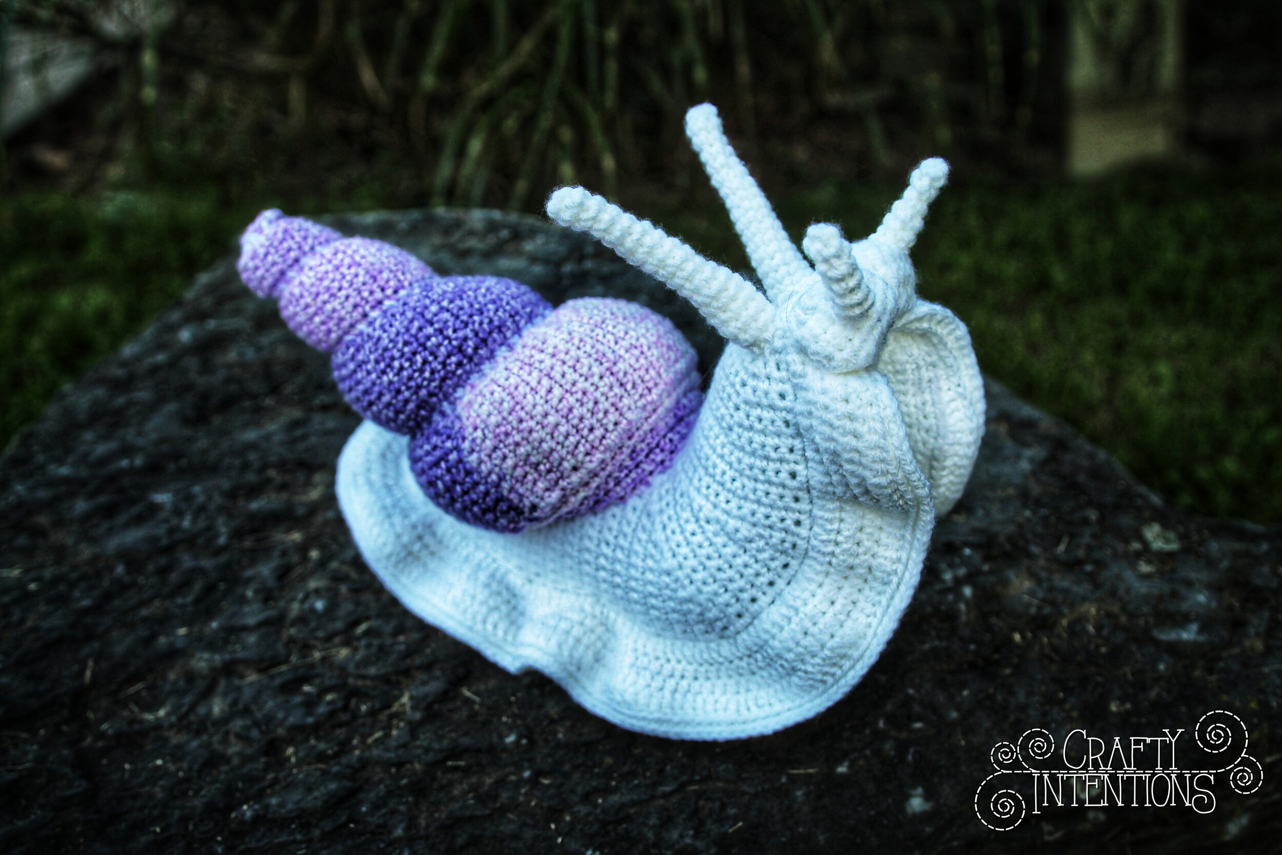 IMG_4976-01 with Logo.jpg