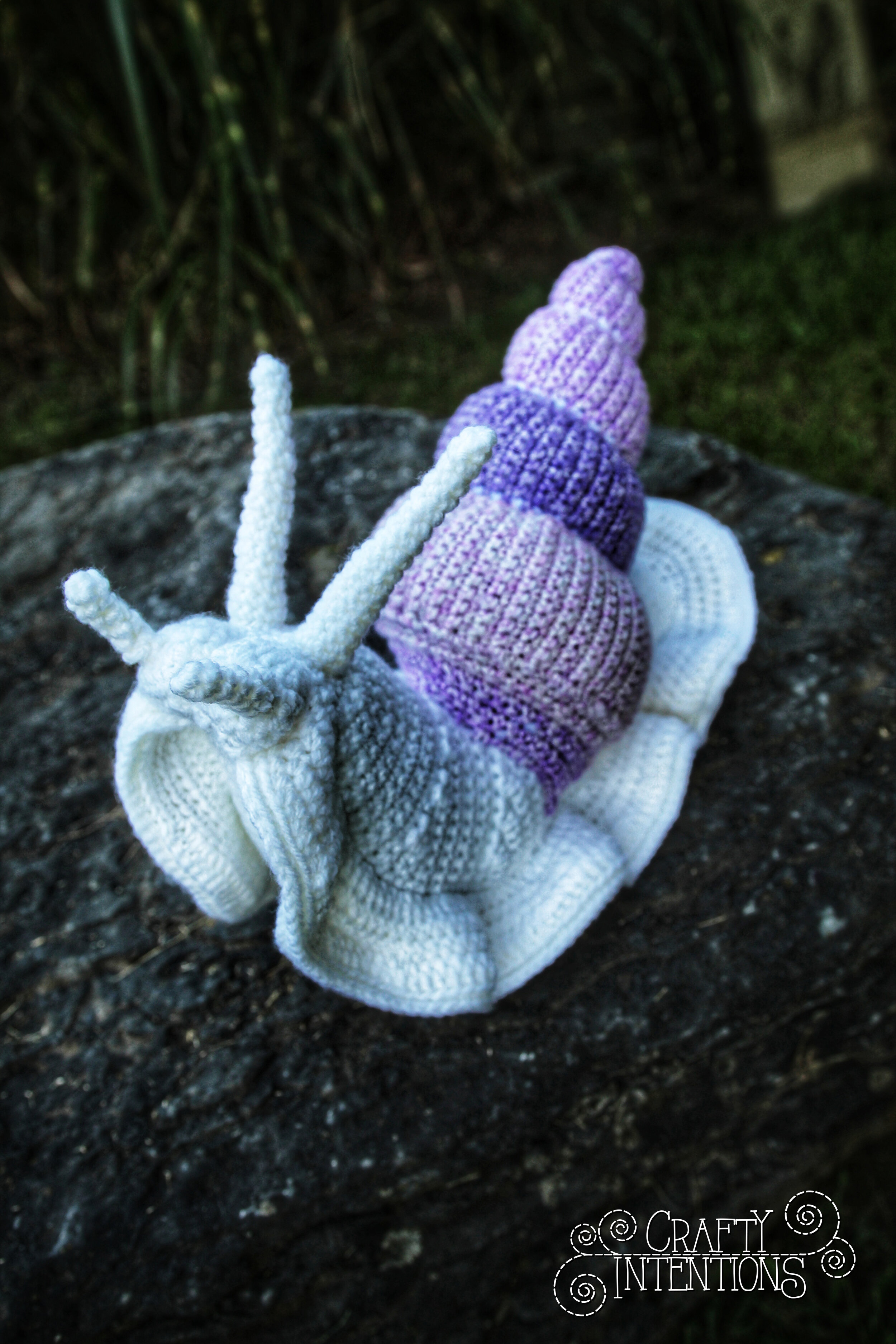 IMG_5013-01 with Logo.jpg