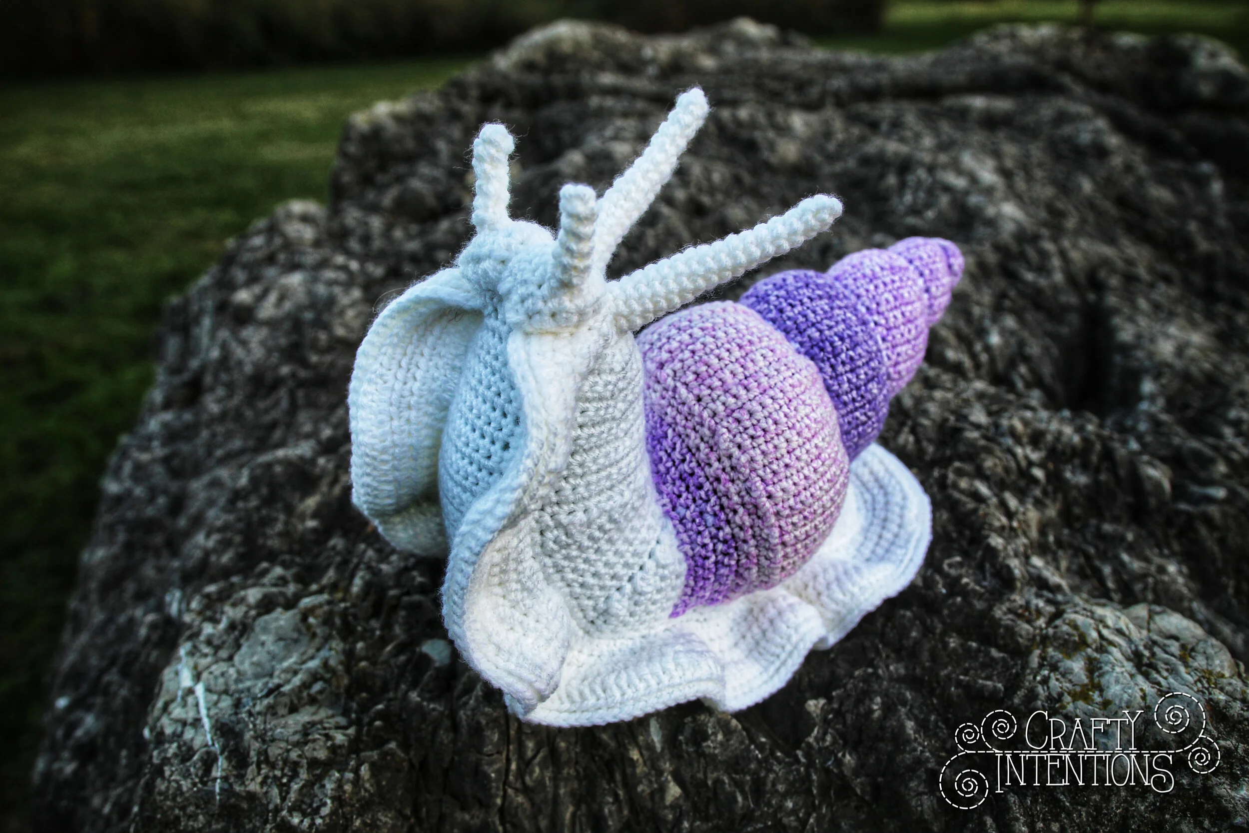 IMG_5041-01 with Logo.jpg