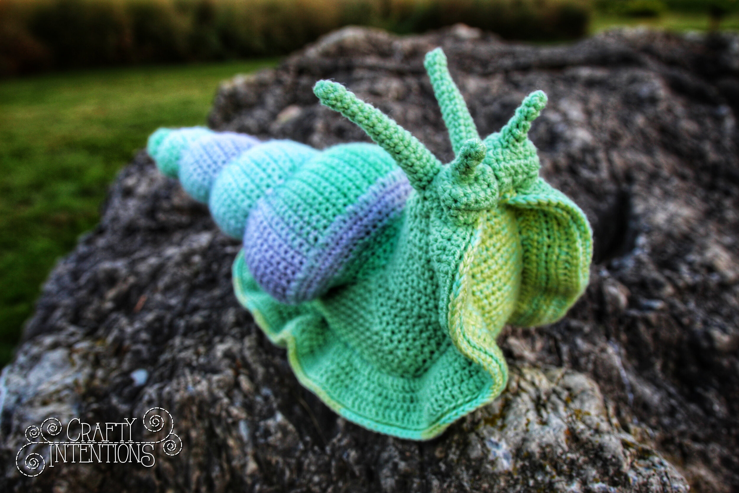 IMG_5066-01 with Logo.jpg