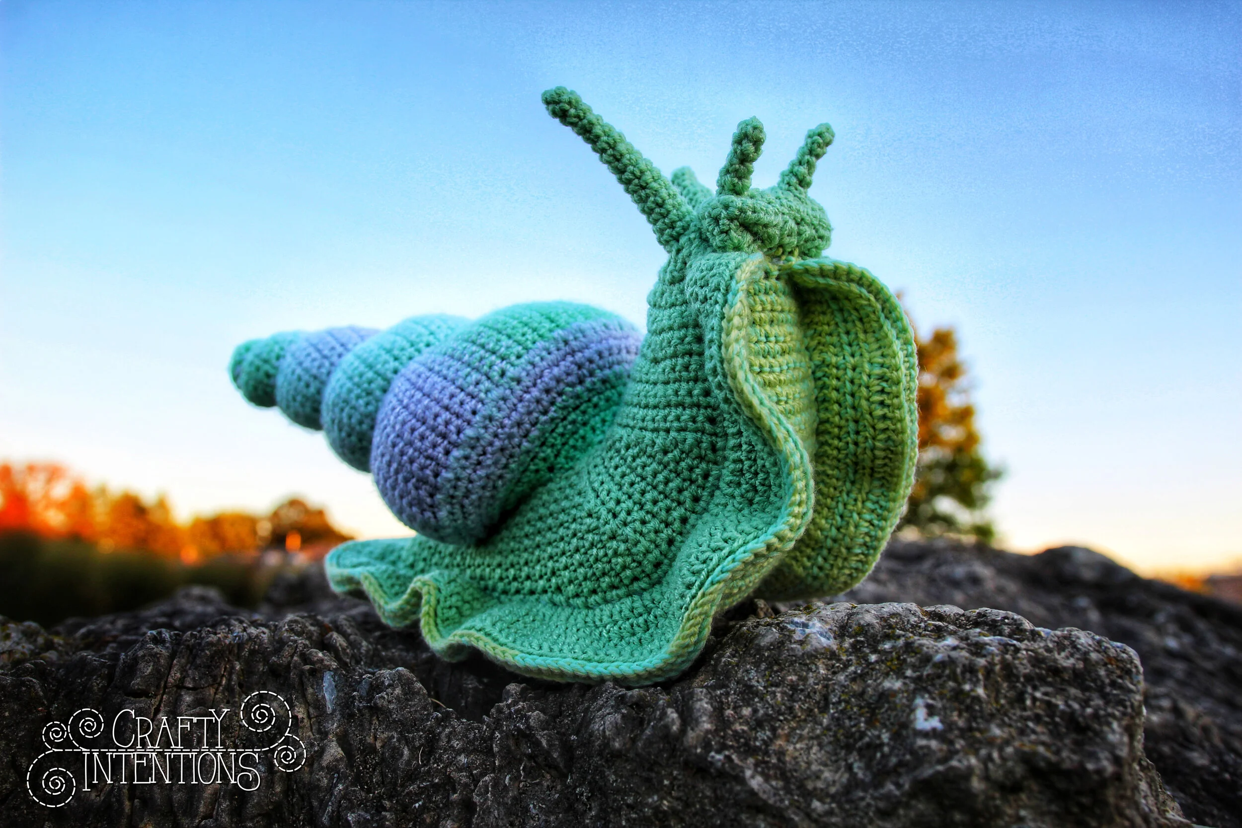 IMG_5069-01 with Logo.jpg