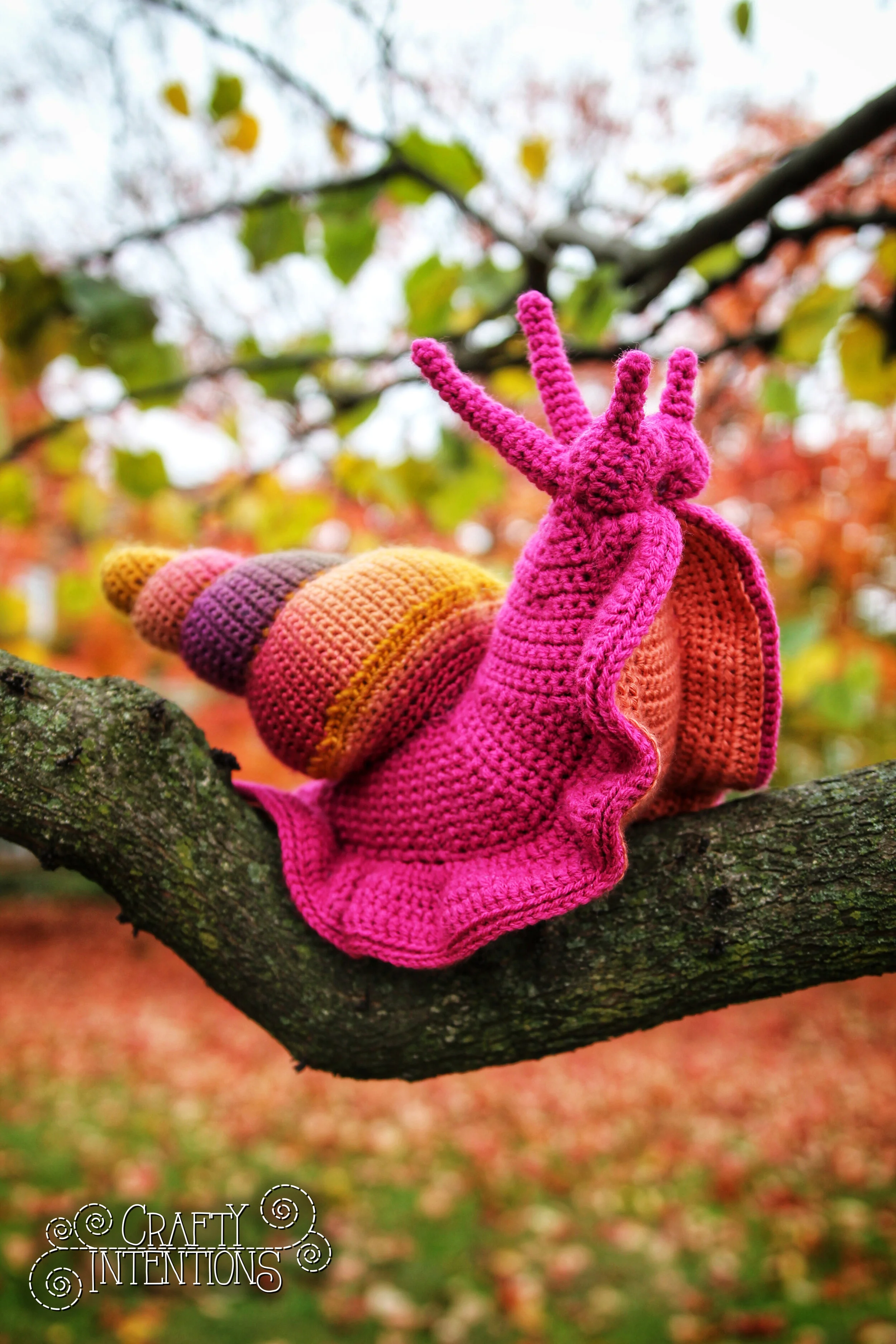 IMG_6198-01 with Logo.jpg