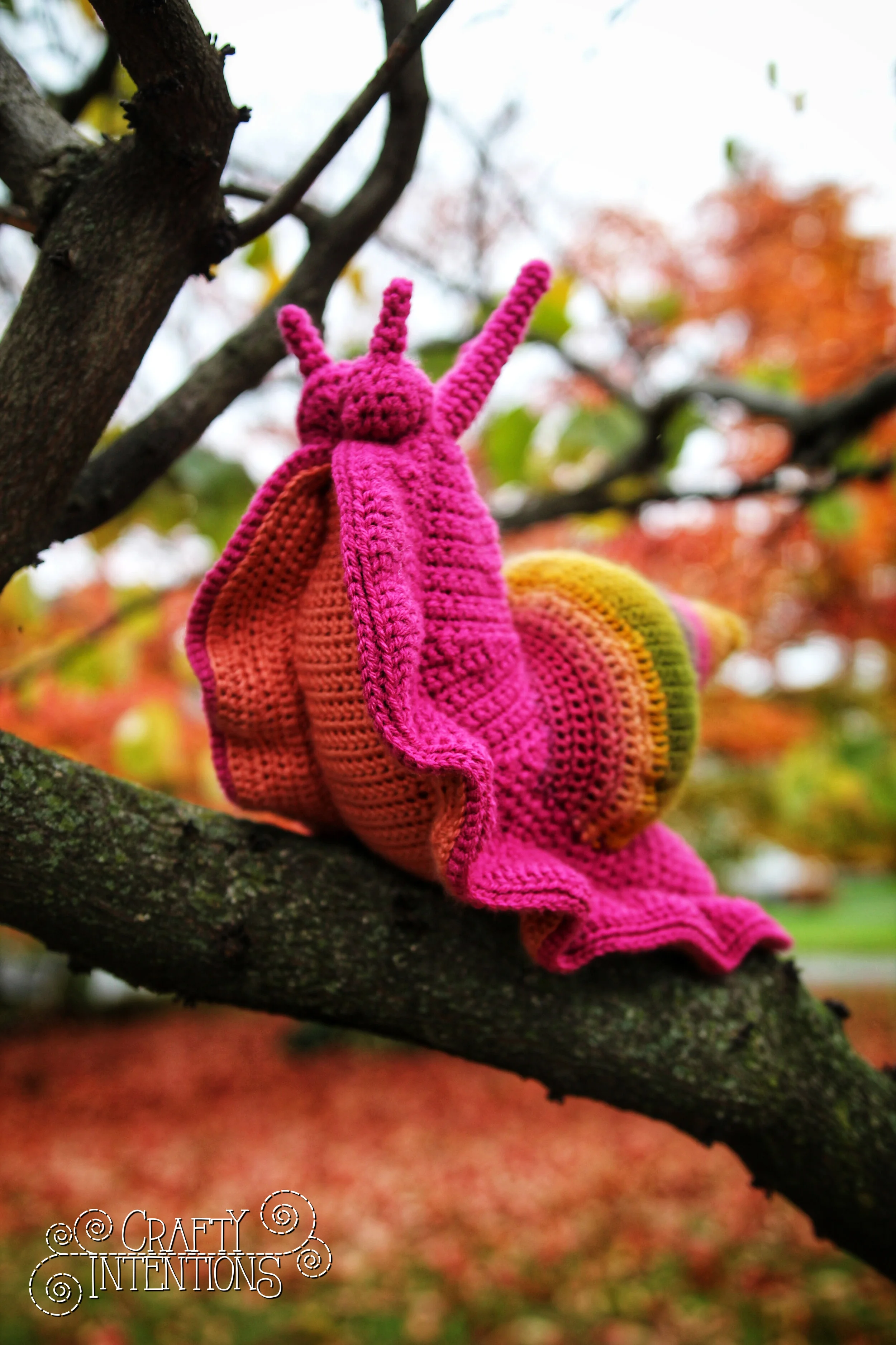 IMG_6202-01 with Logo.jpg