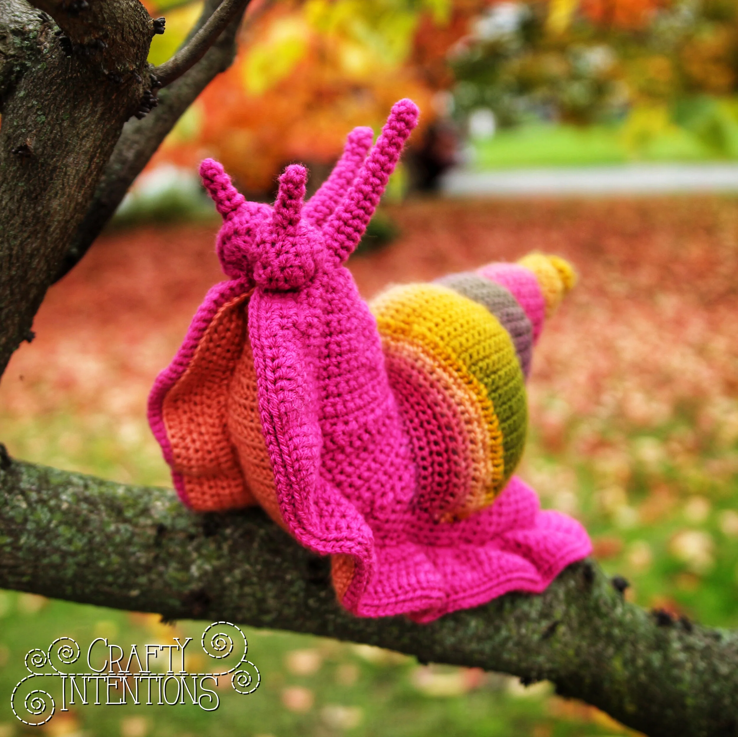 IMG_6219-02 with Logo.jpg