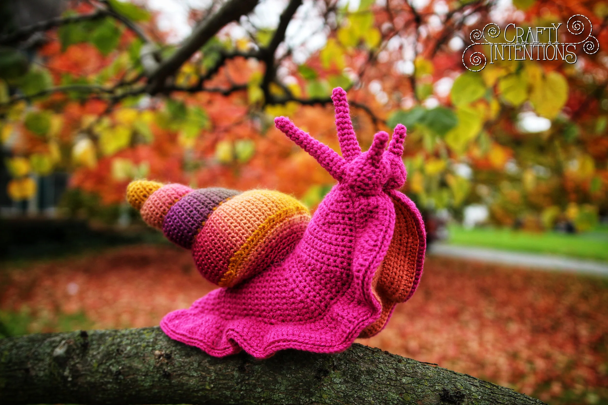 IMG_6233-2-01 with Logo.jpg