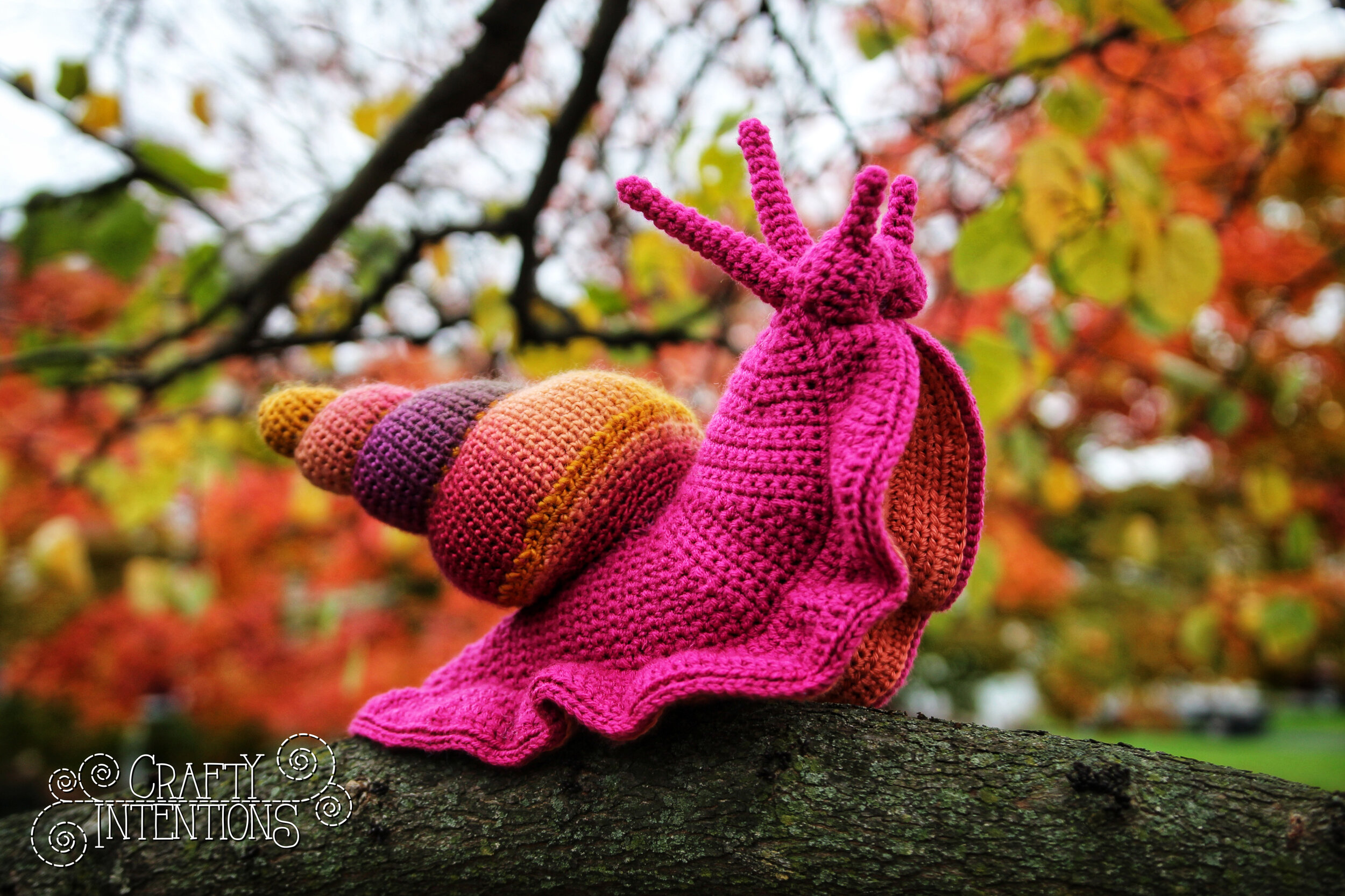 IMG_6239-1-01 with Logo.jpg