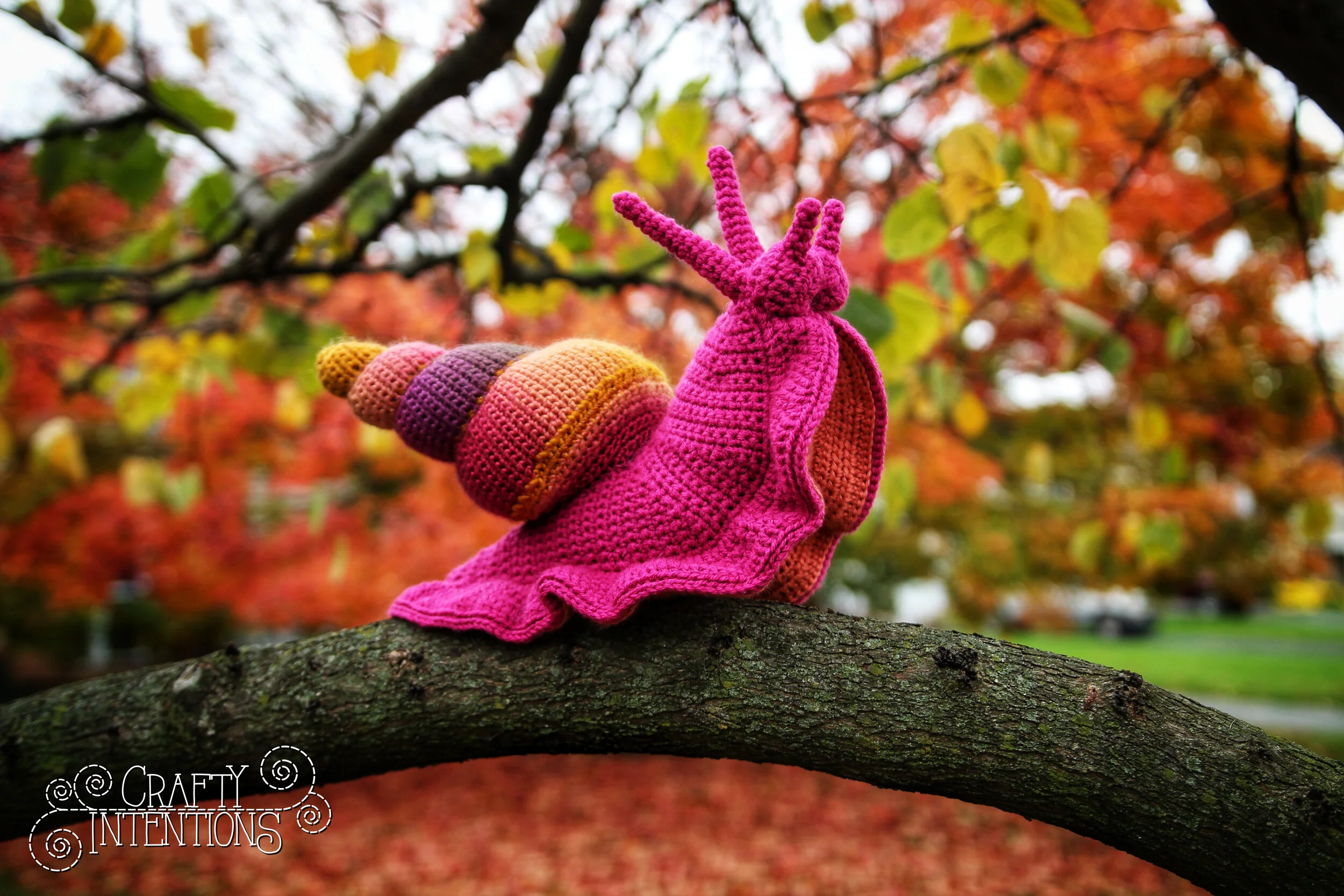 IMG_6243-01 with Logo.jpg