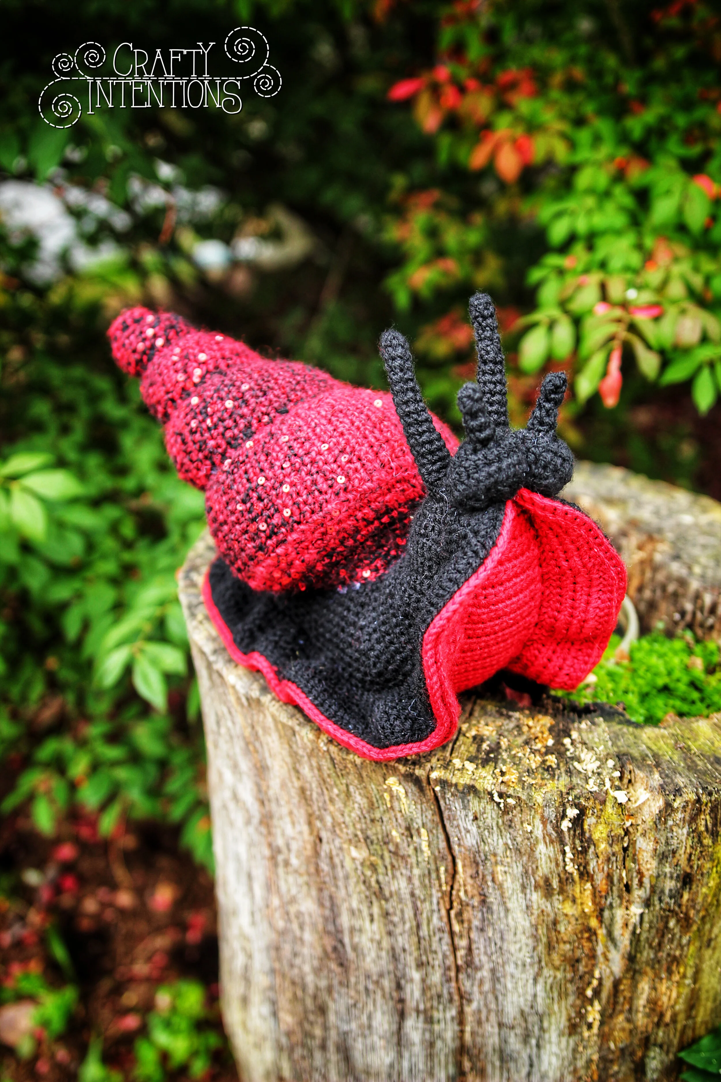 IMG_6255-01 with Logo.jpg