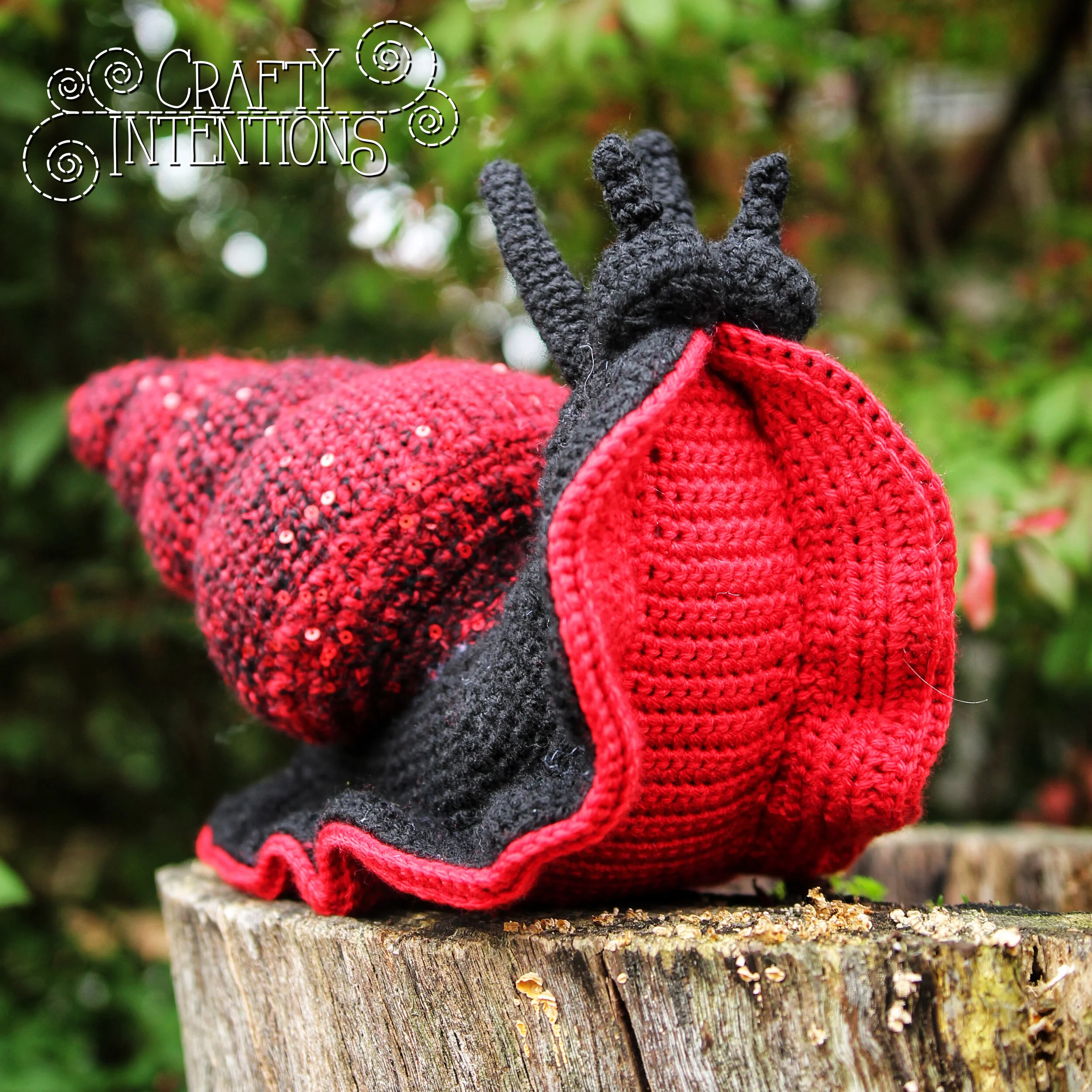 IMG_6263-02 with Logo.jpg