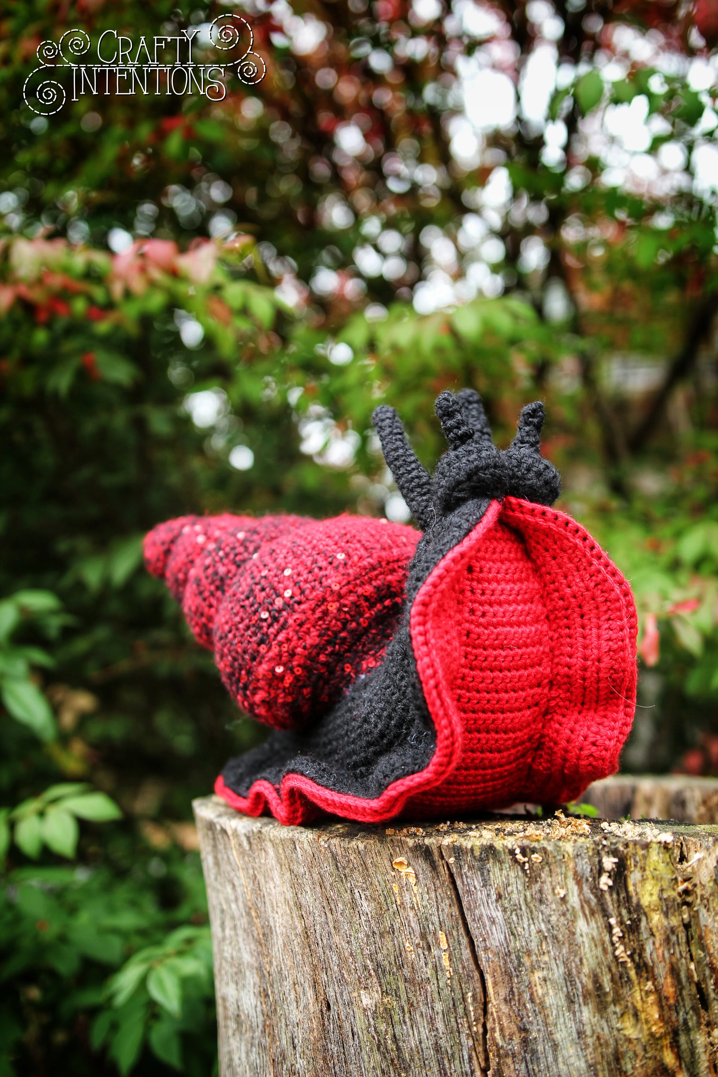 IMG_6263-01 with Logo.jpg