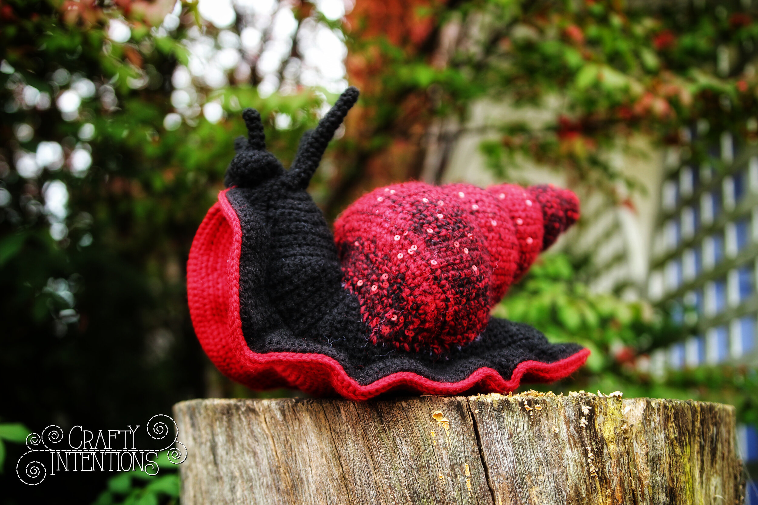 IMG_6277-02 with Logo.jpg