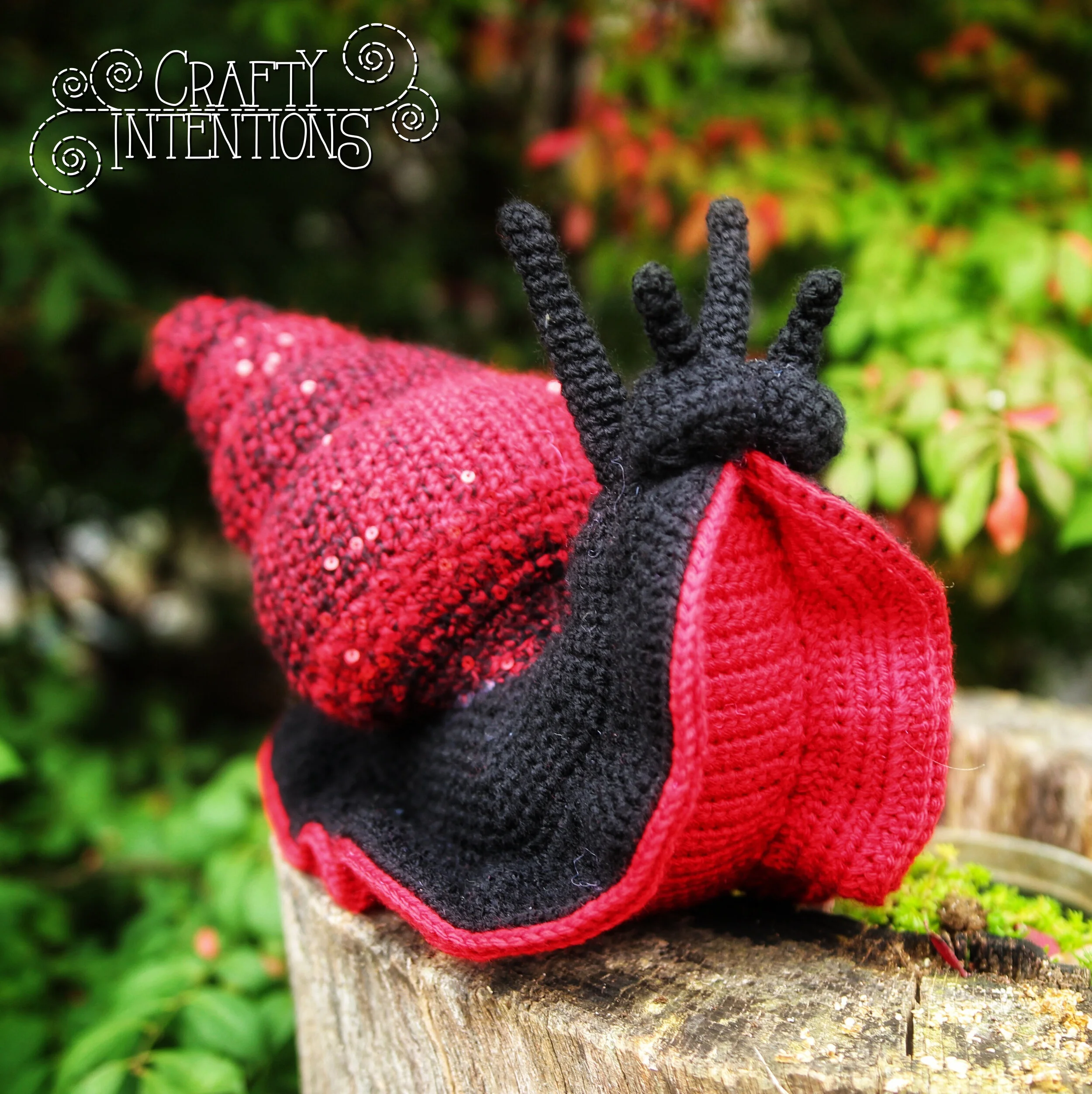 IMG_6297-01-01 w logo.jpg