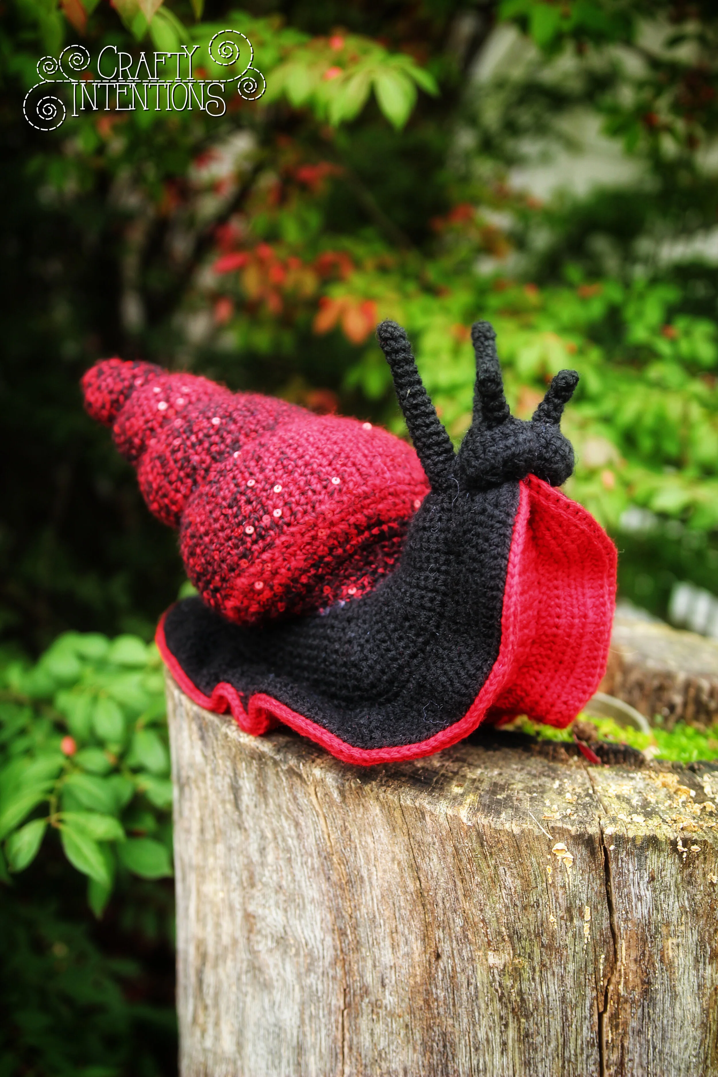 IMG_6288-01 with Logo.jpg