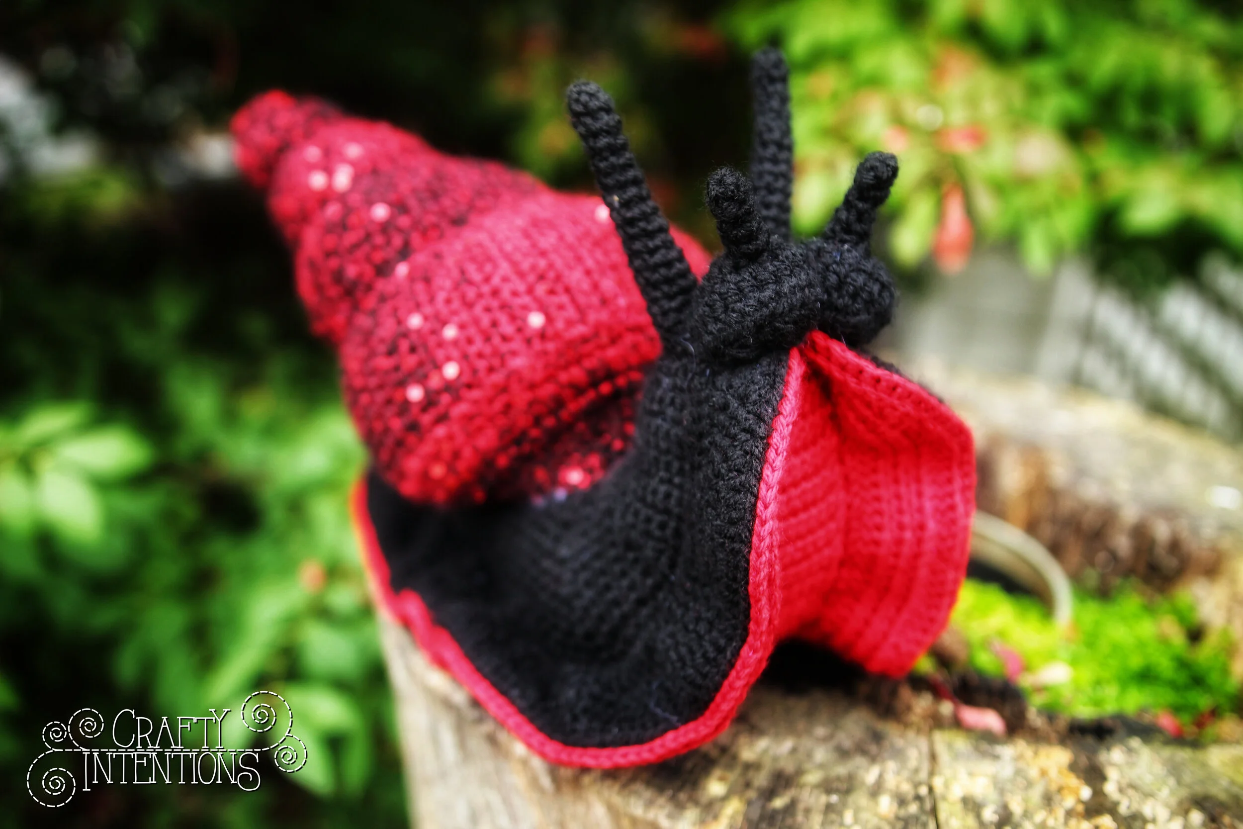 IMG_6302-01 w logo.jpg