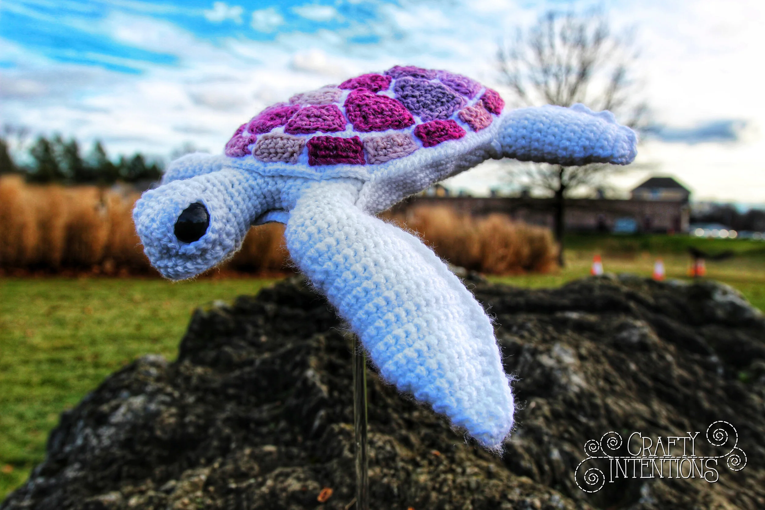 IMG_0315-01 with Logo.jpg