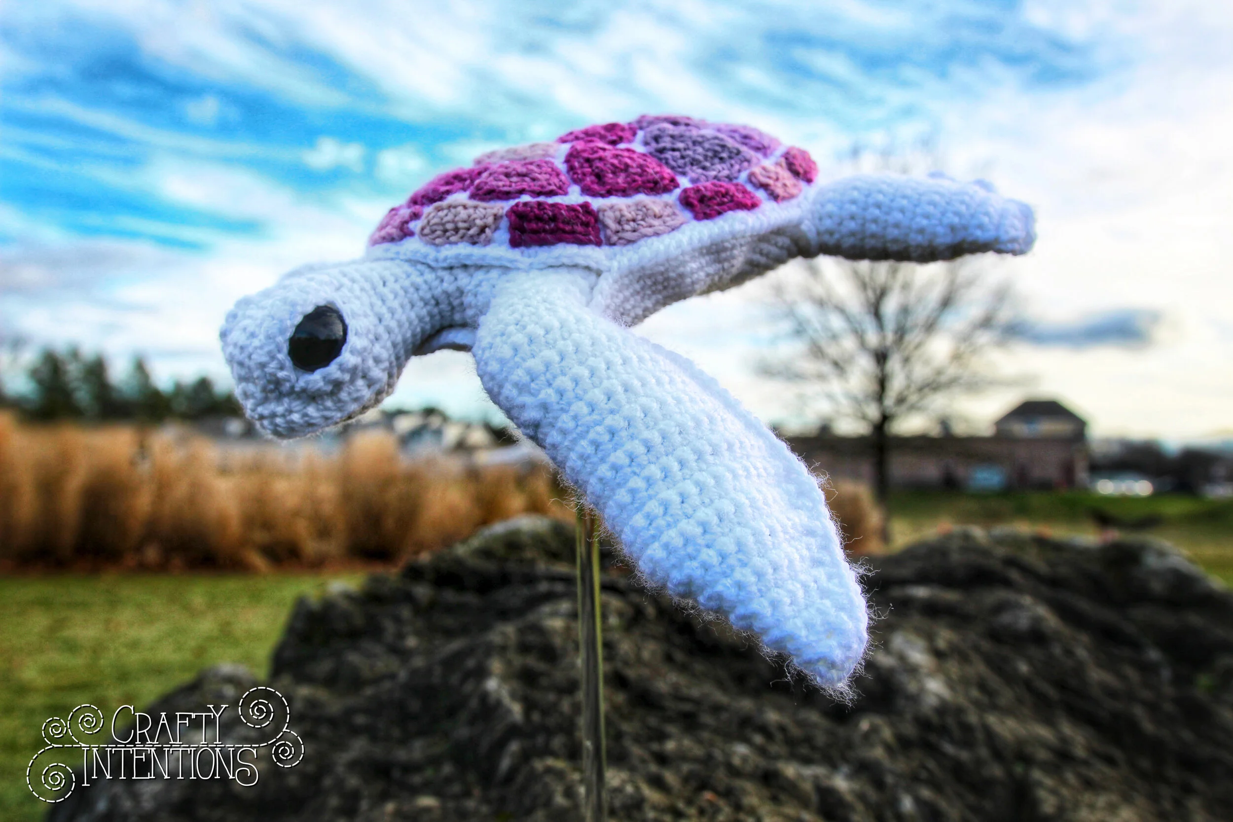 IMG_0323-01 with Logo.jpg