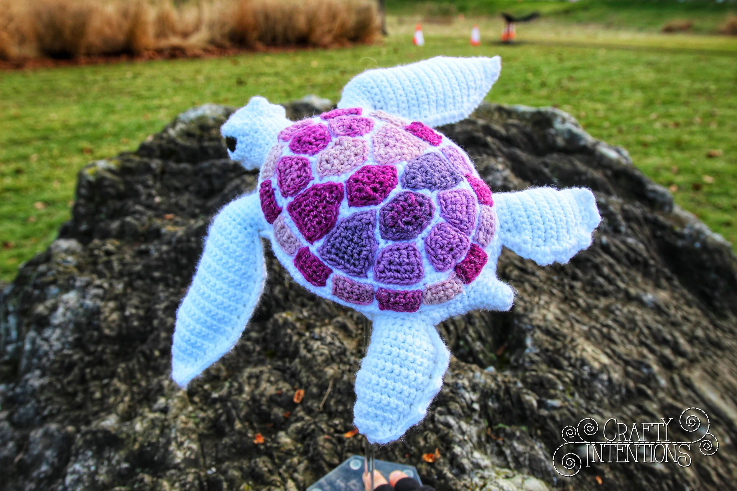 IMG_0340-01 with Logo.jpg