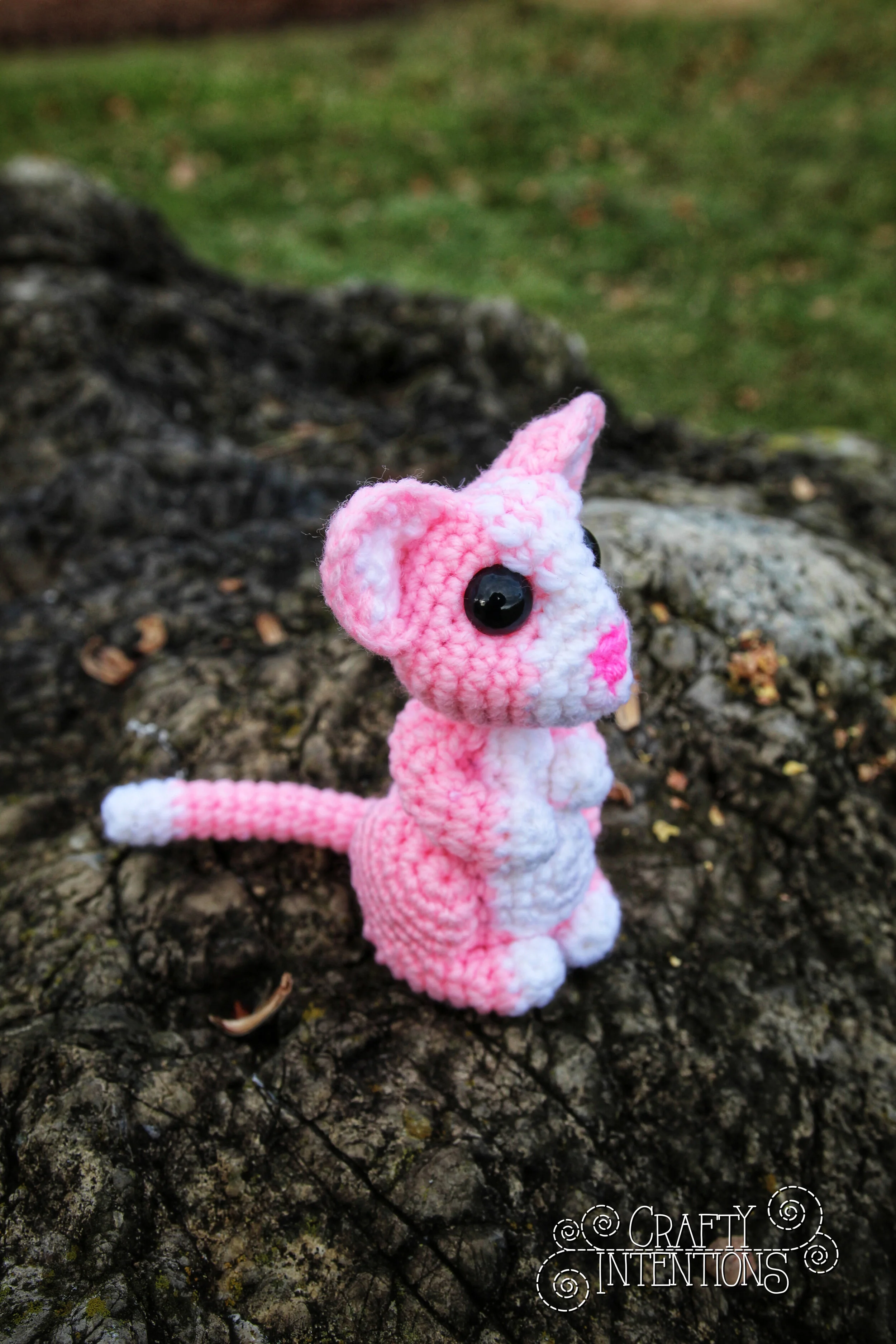 IMG_0147-01 with Logo.jpg