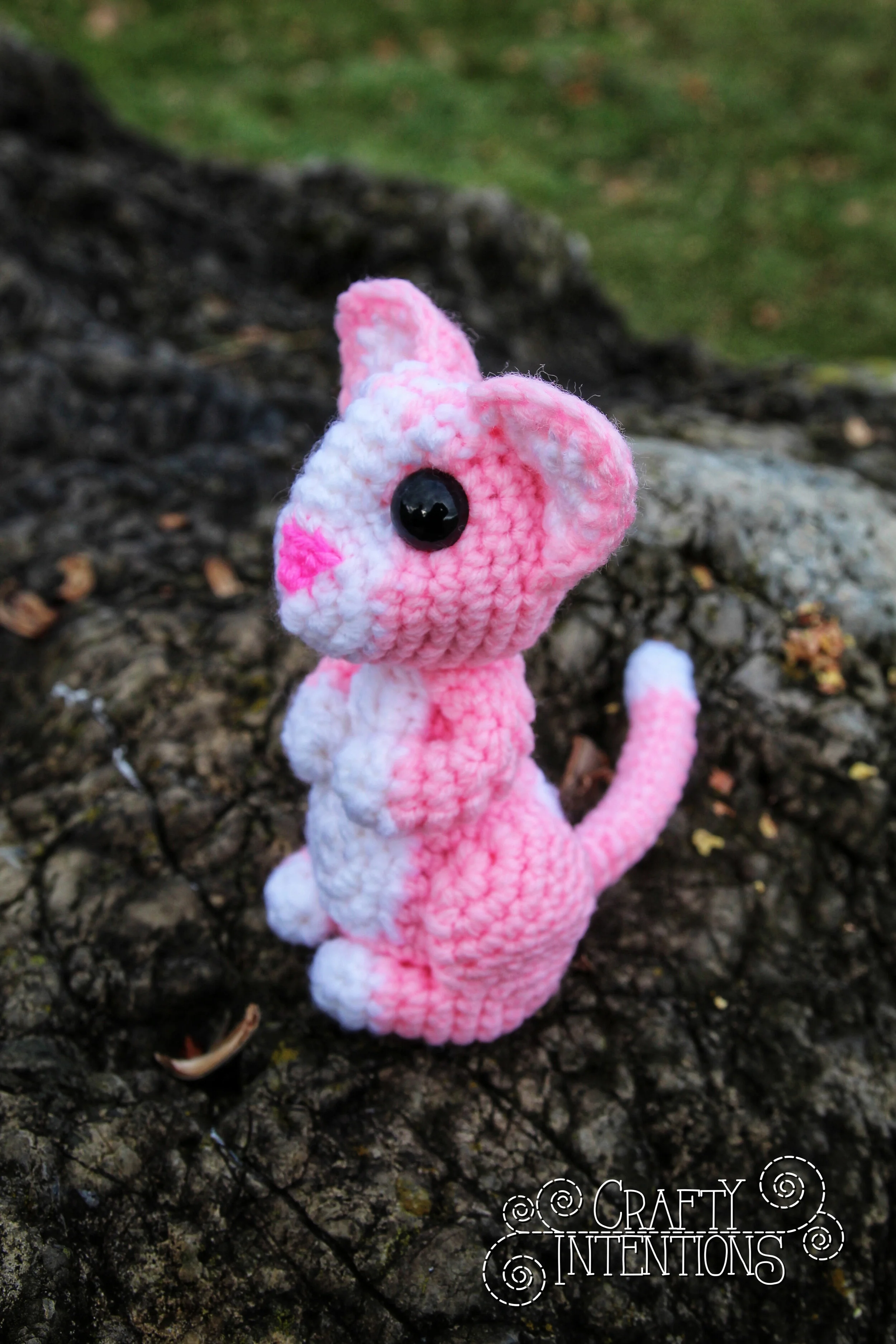 IMG_0149-01 with Logo.jpg