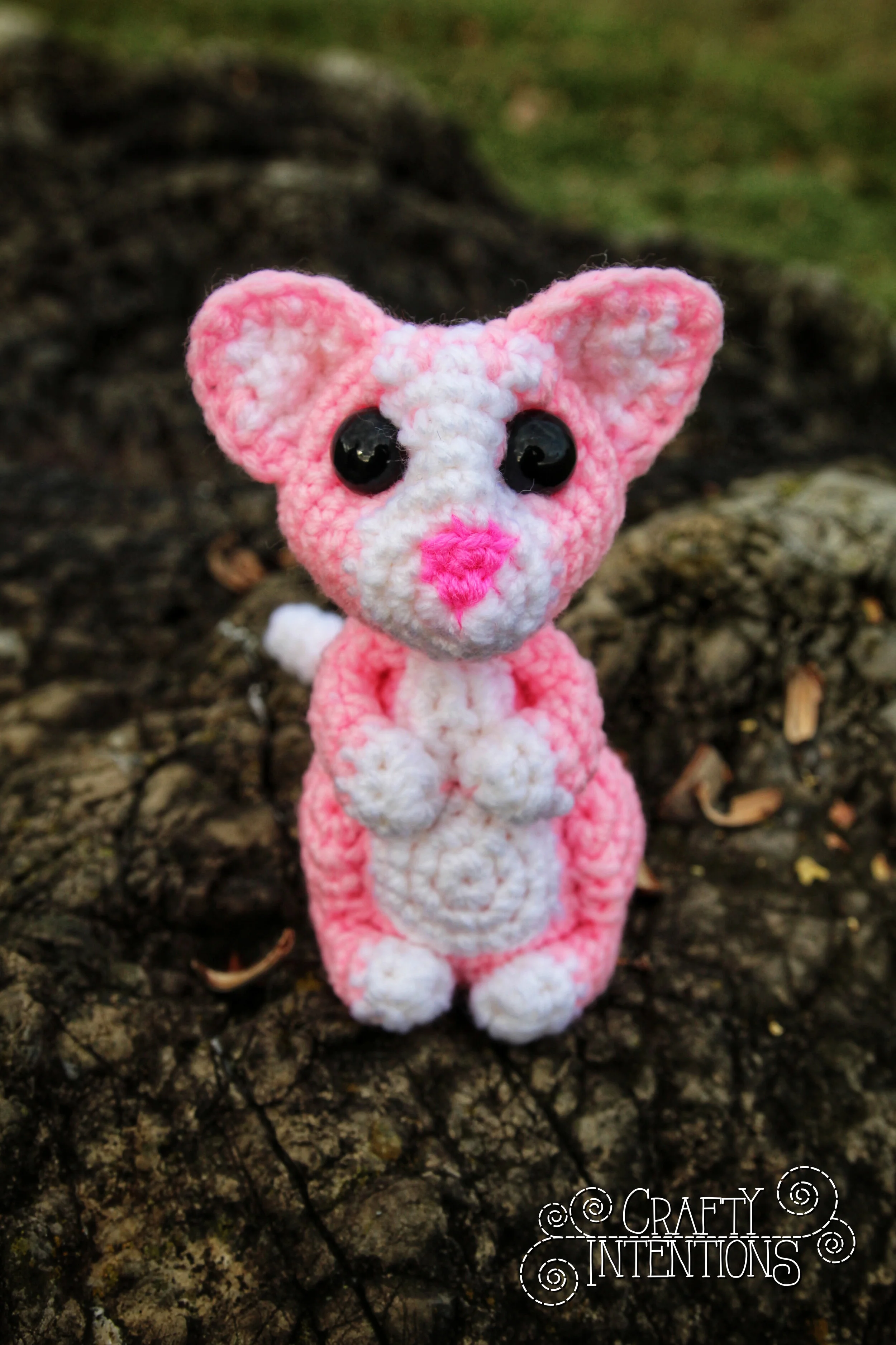 IMG_0151-01 with Logo.jpg