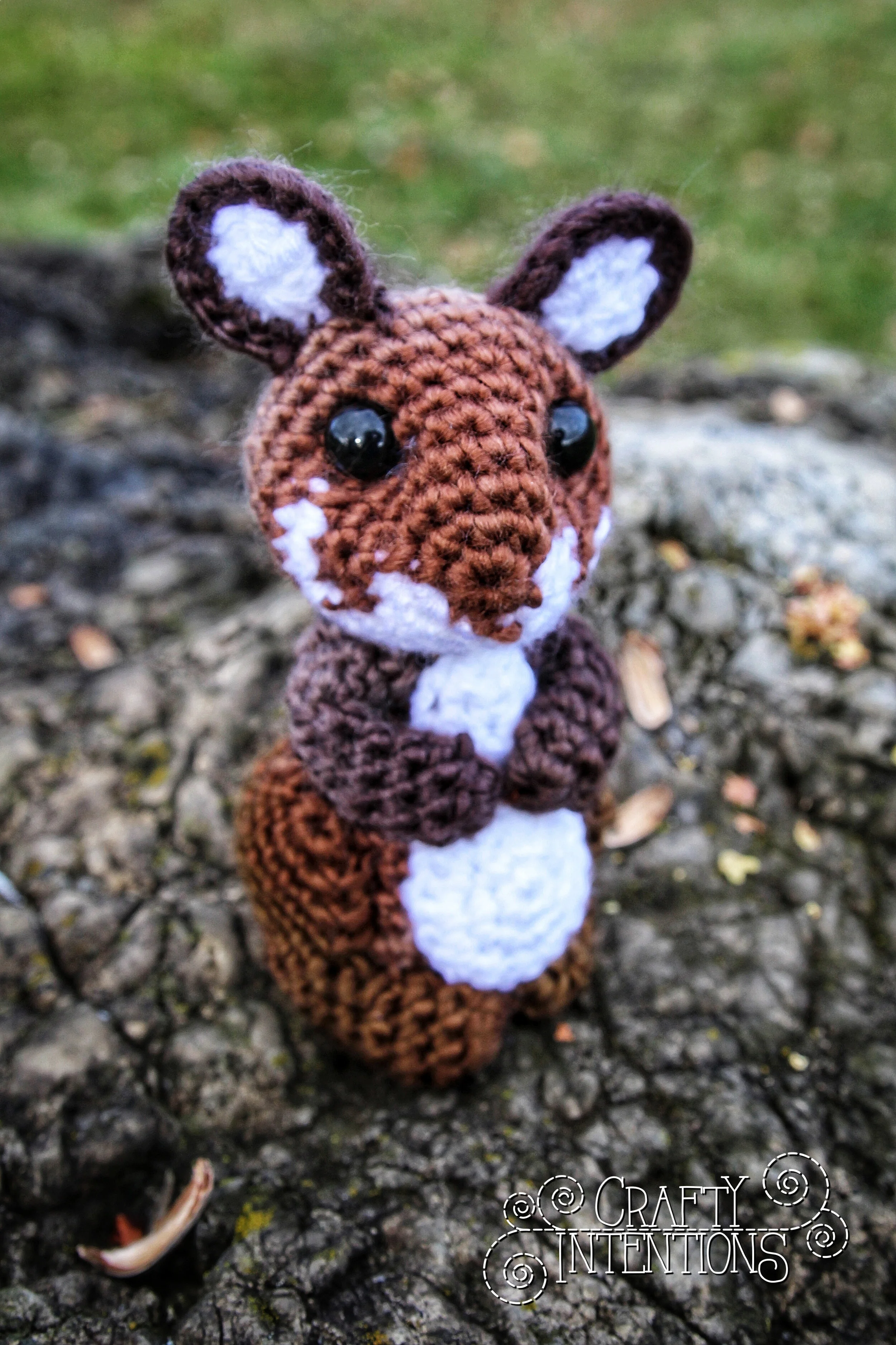 IMG_0153-01 with Logo.jpg