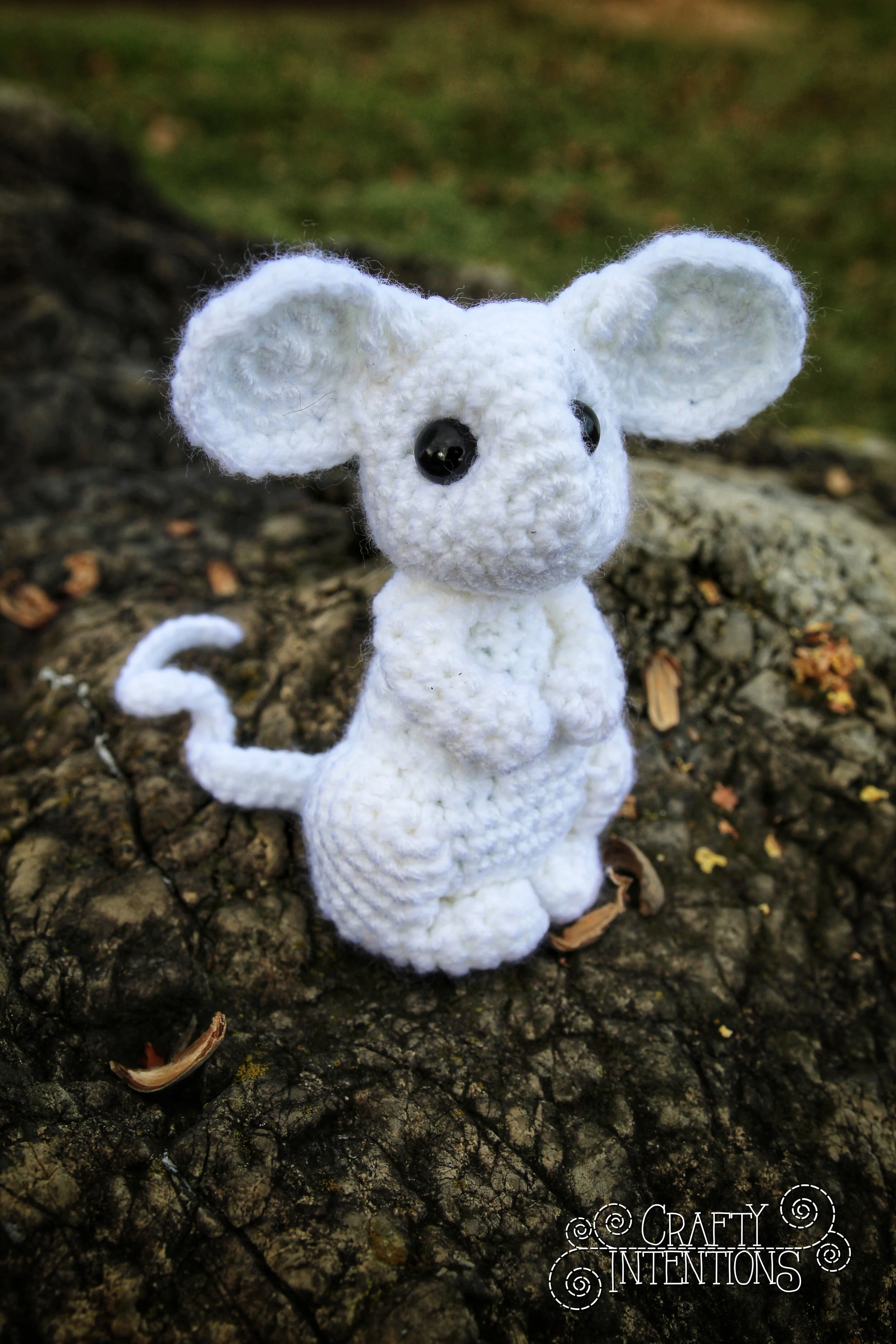 IMG_0170-01 with Loguo.jpg