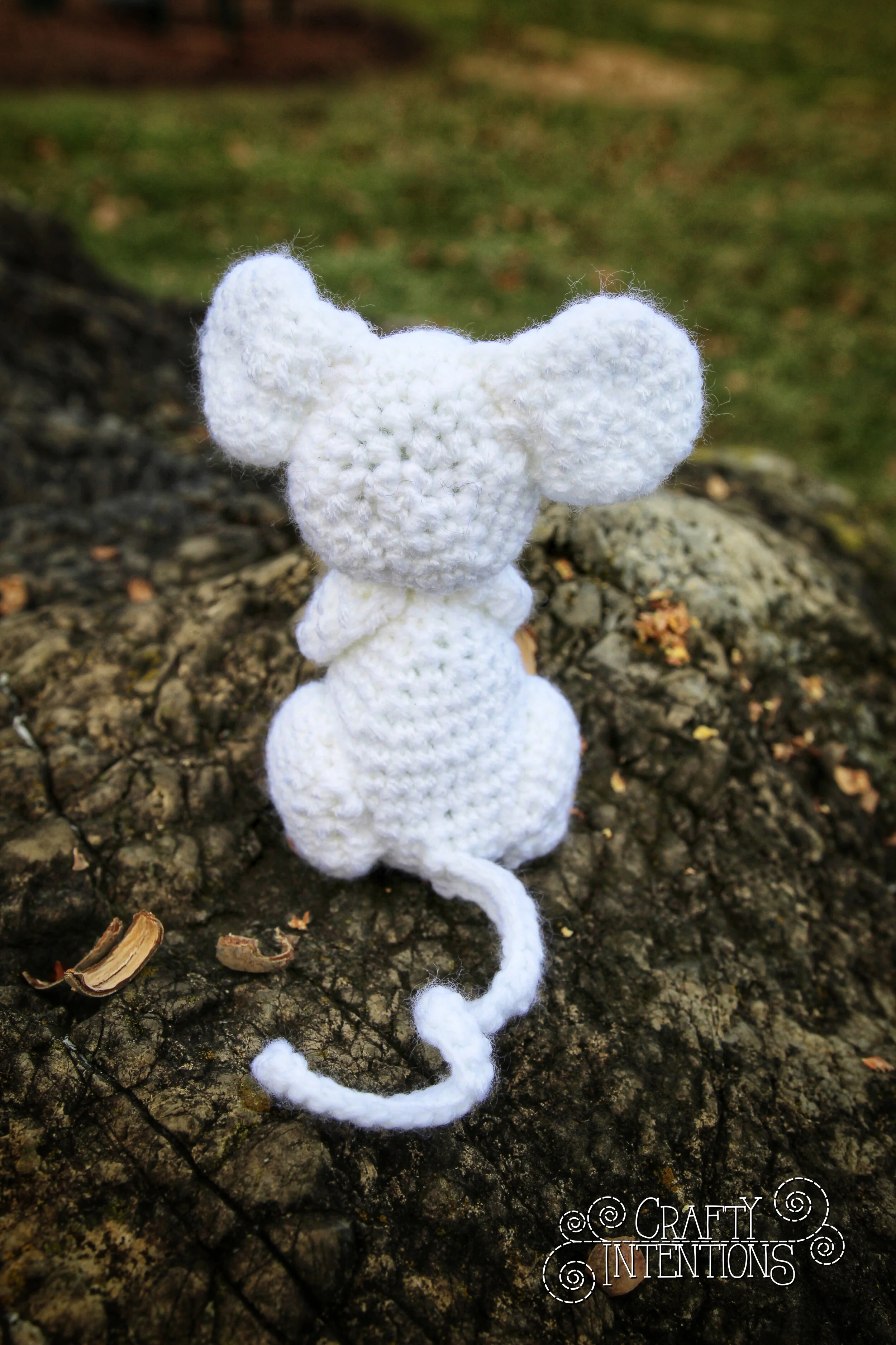 IMG_0172-01 with Logo.jpg