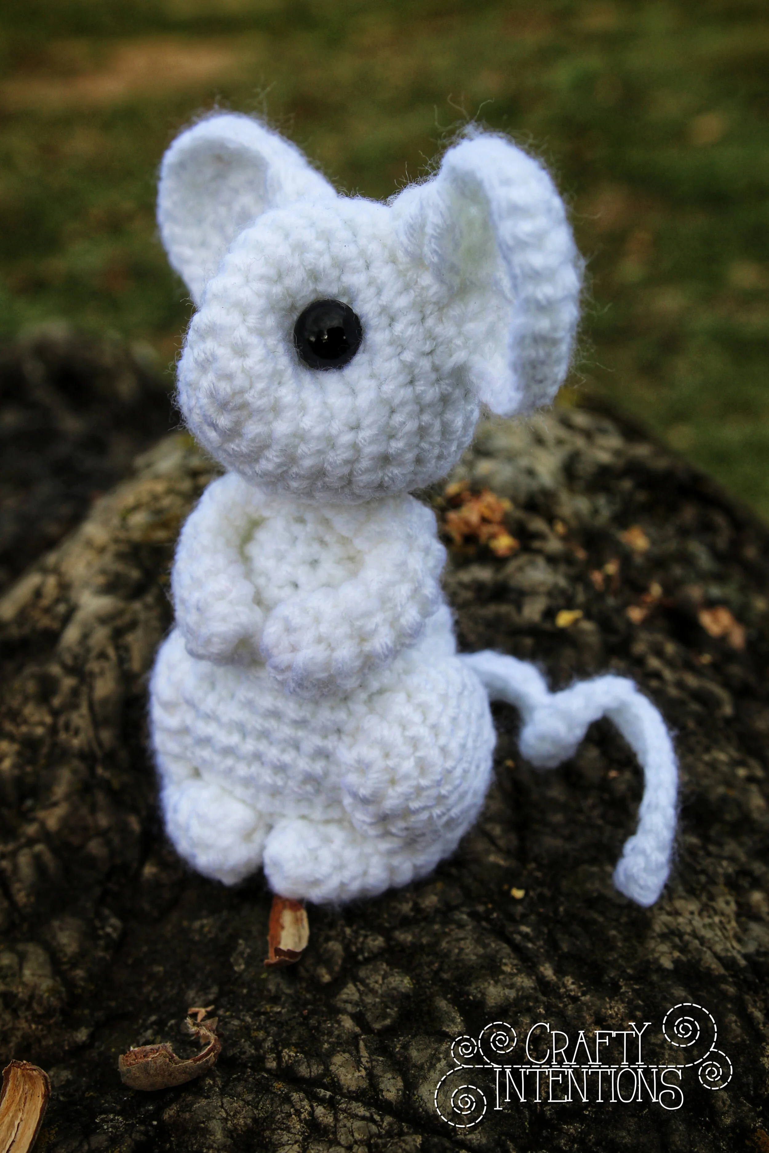 IMG_0174-01 with Logo.jpg