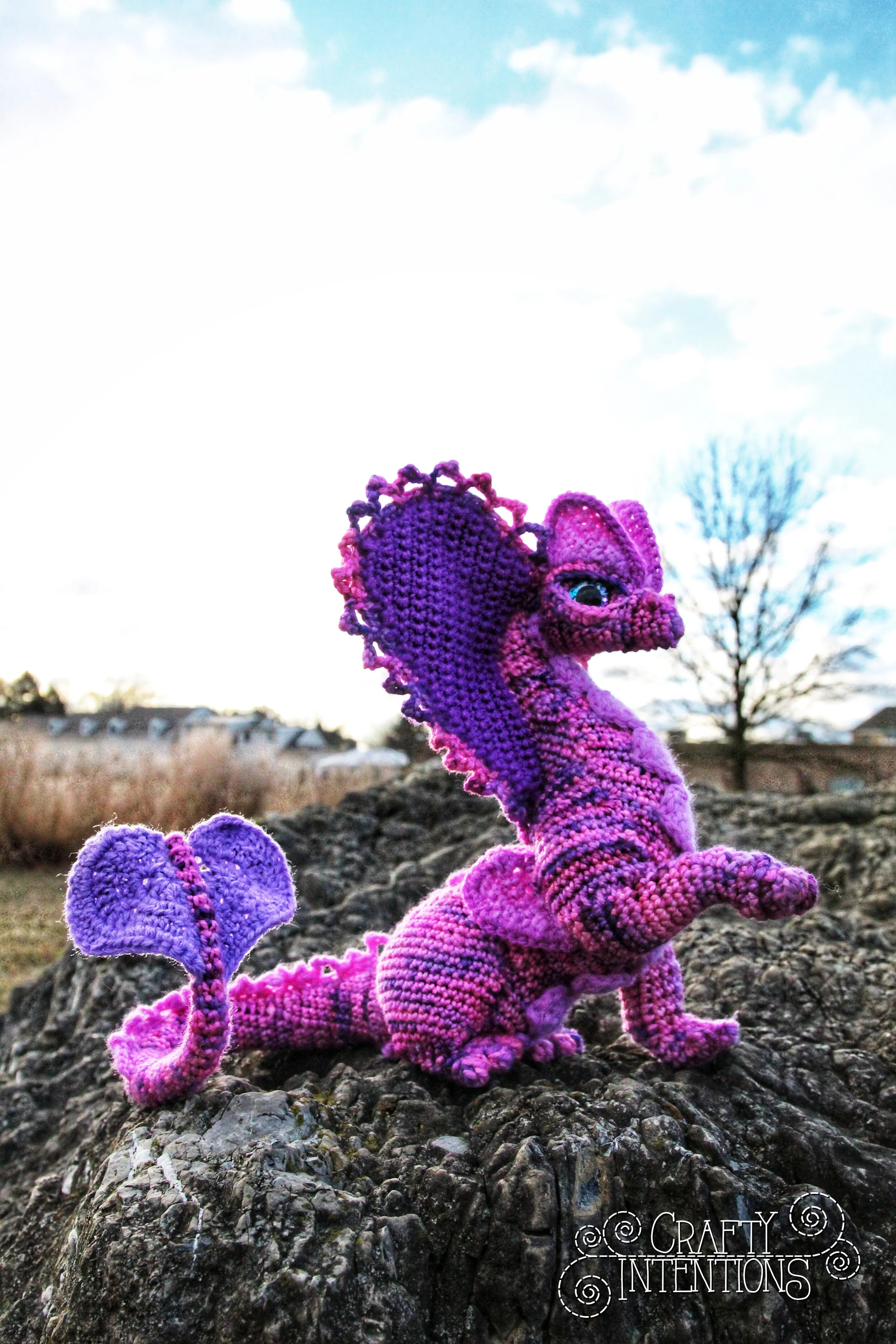 IMG_1423-01 with logo.jpg