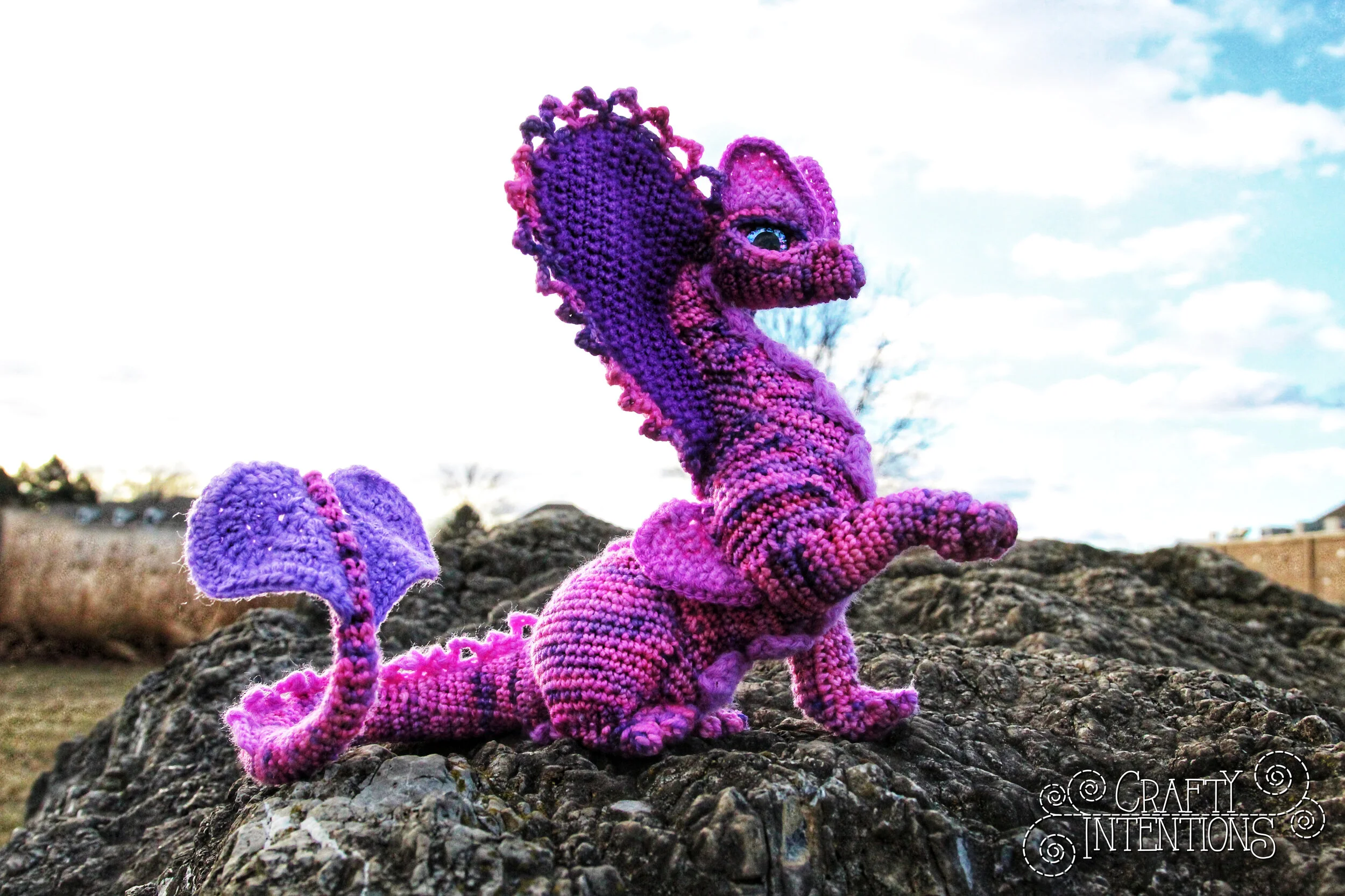 IMG_1430-01 with logo.jpg