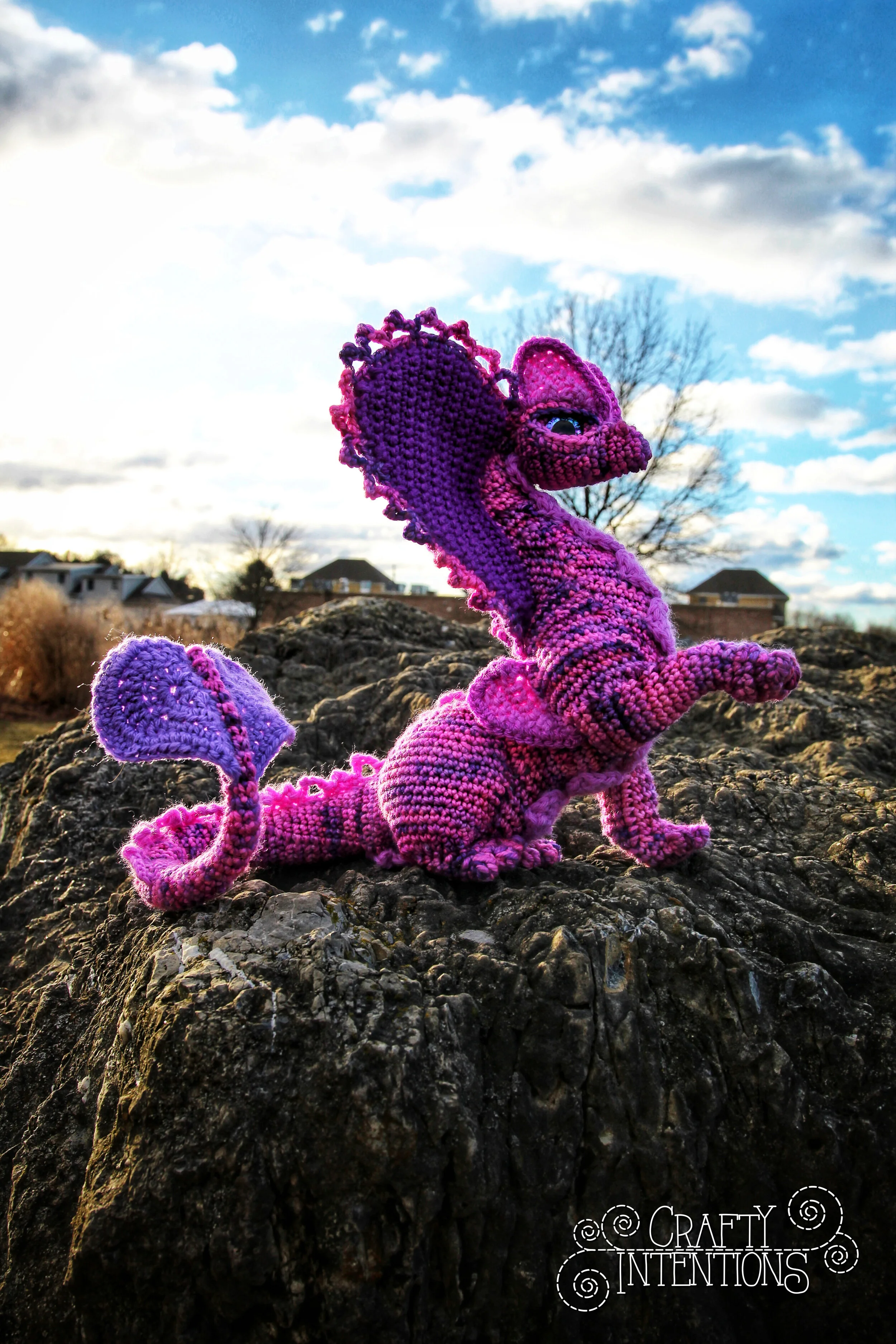 IMG_1437-01 with logo.jpg