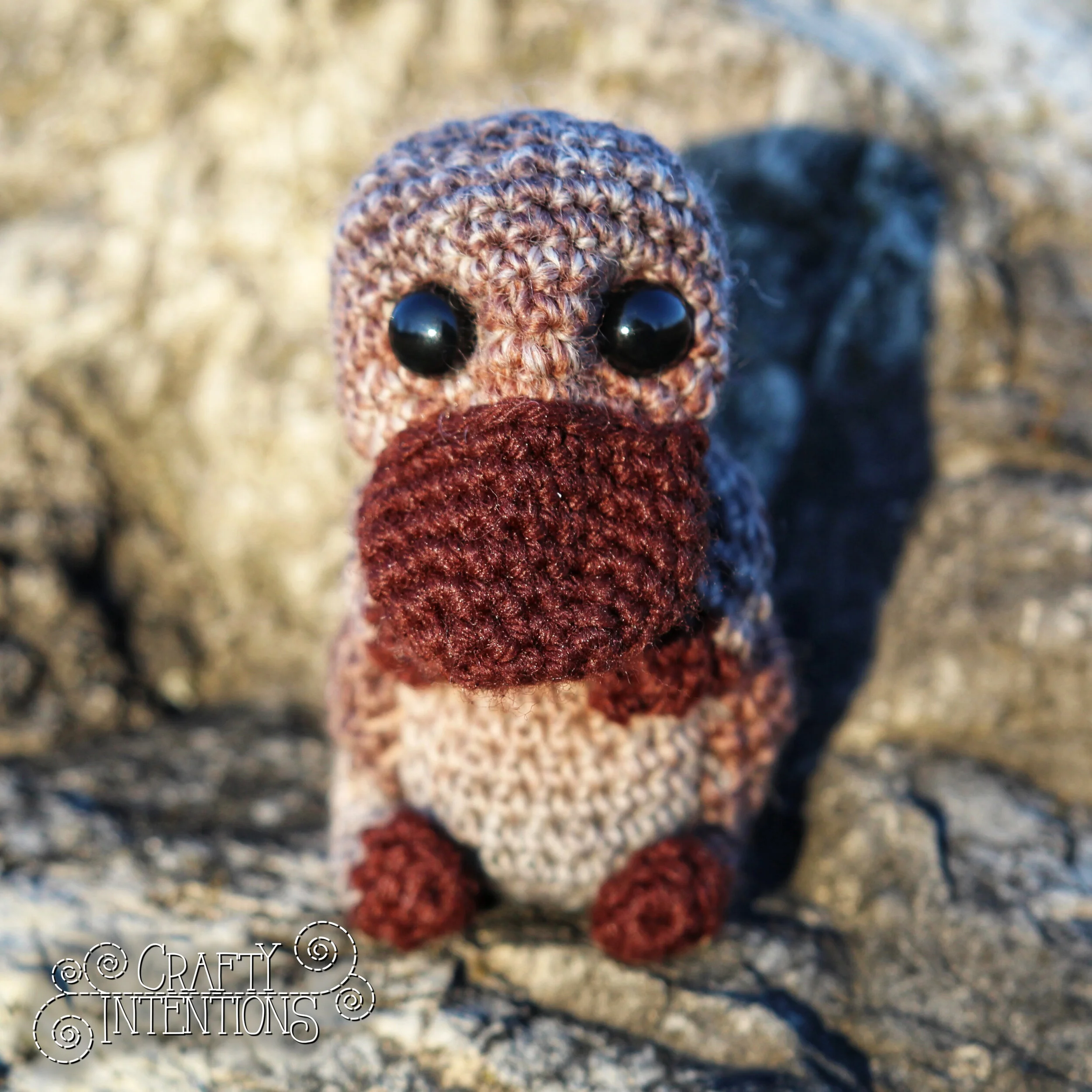 IMG_1569-01 with Logo.jpg